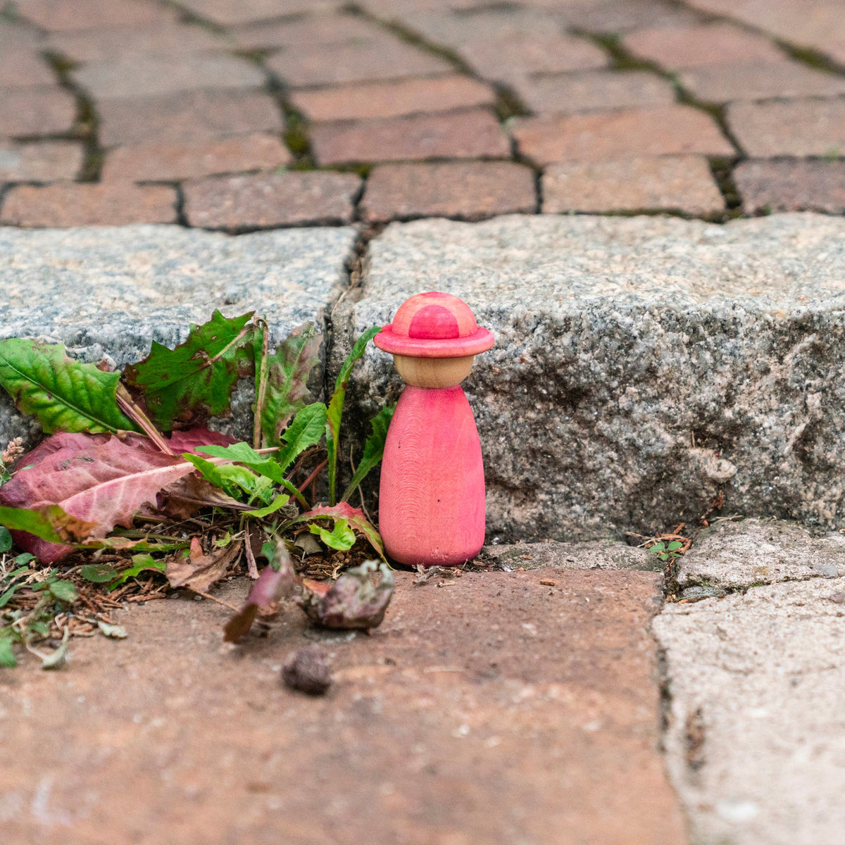Wooden figures 12 Fancy Nins Rainbow Grapat