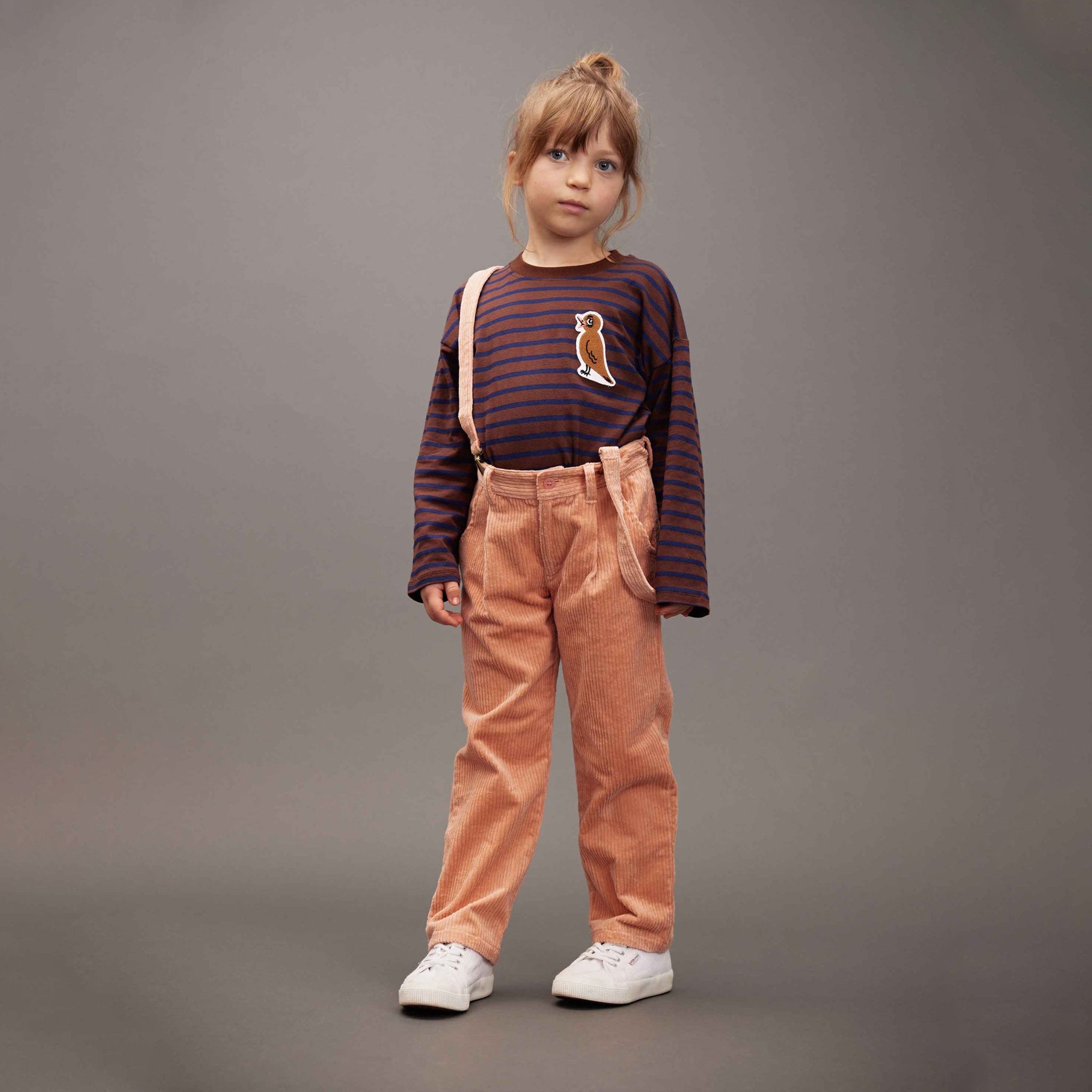 Long sleeve shirt Stripe Bird Patch Brown