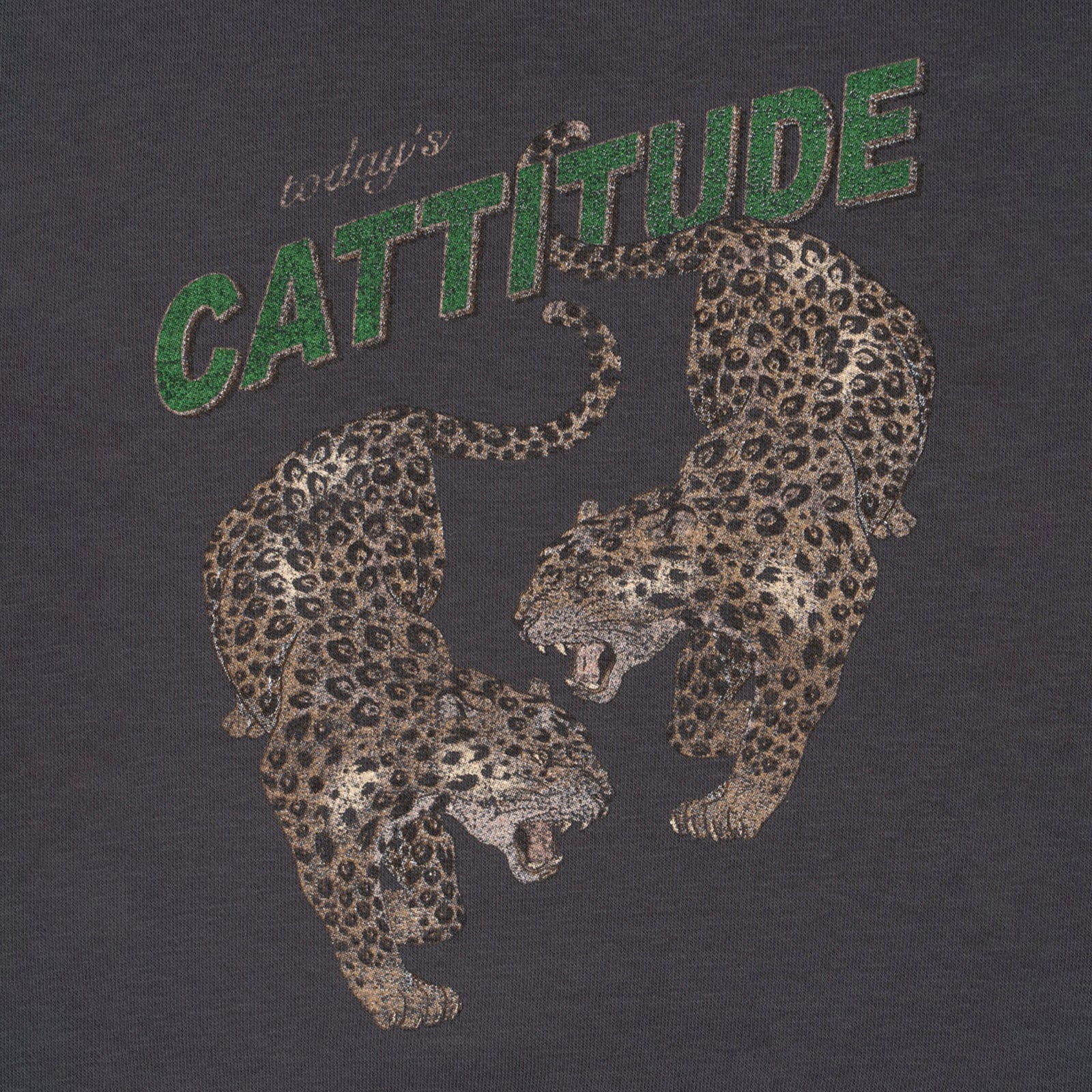 Sweatshirt Lou Magnet