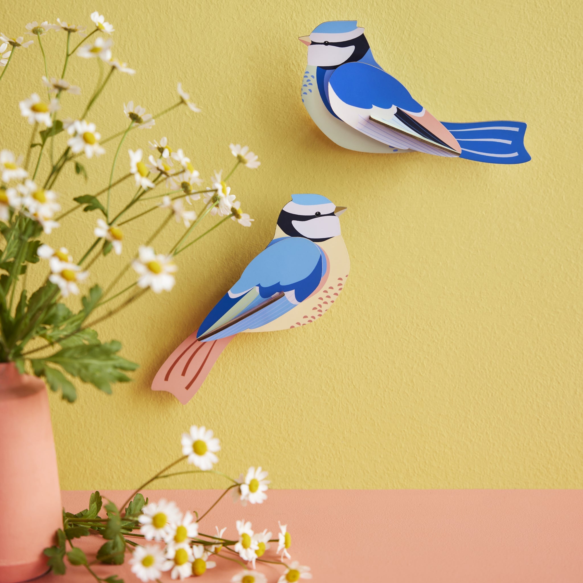 Kit de bricolage Couple de mésanges bleues