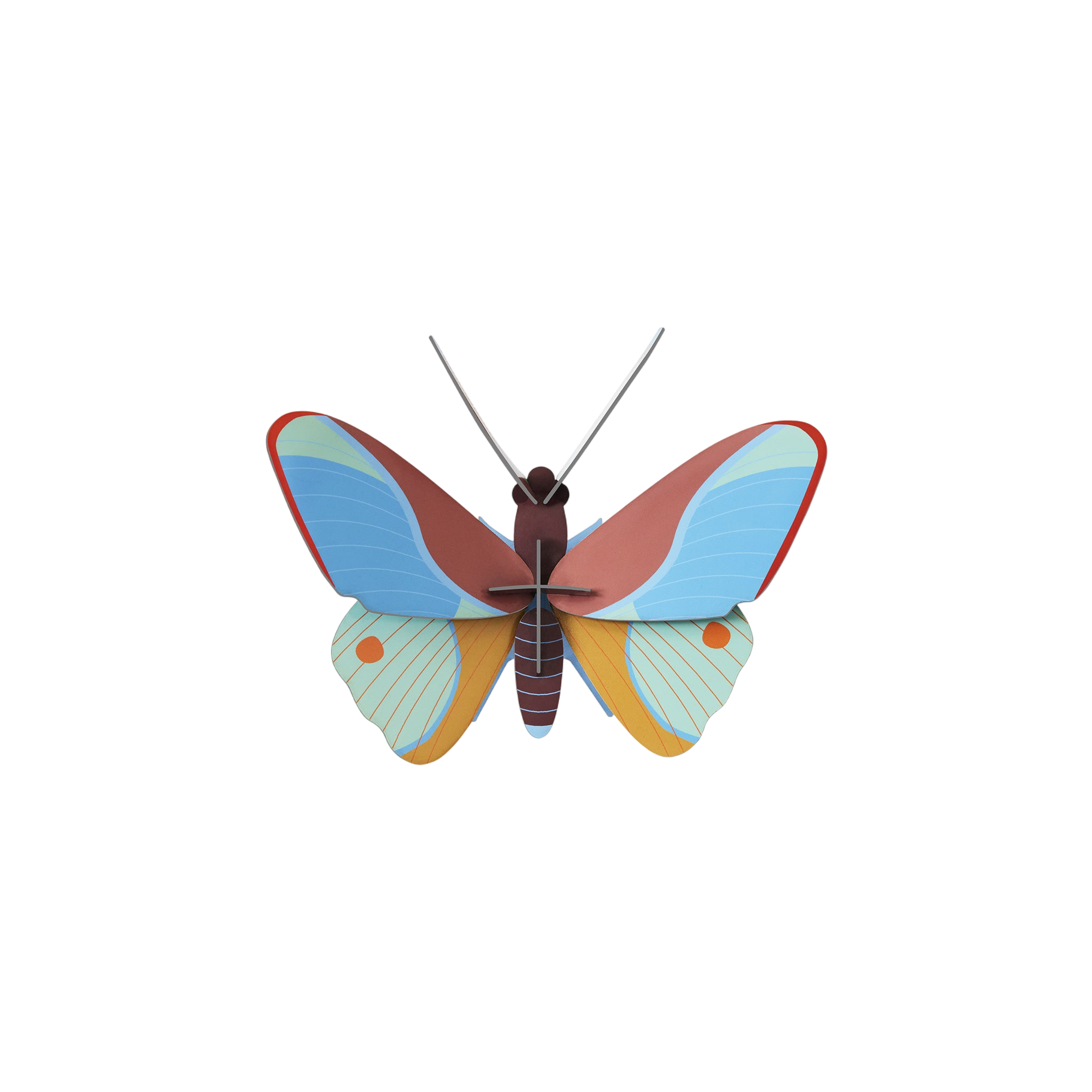 Kit de bricolage papillon Claudina