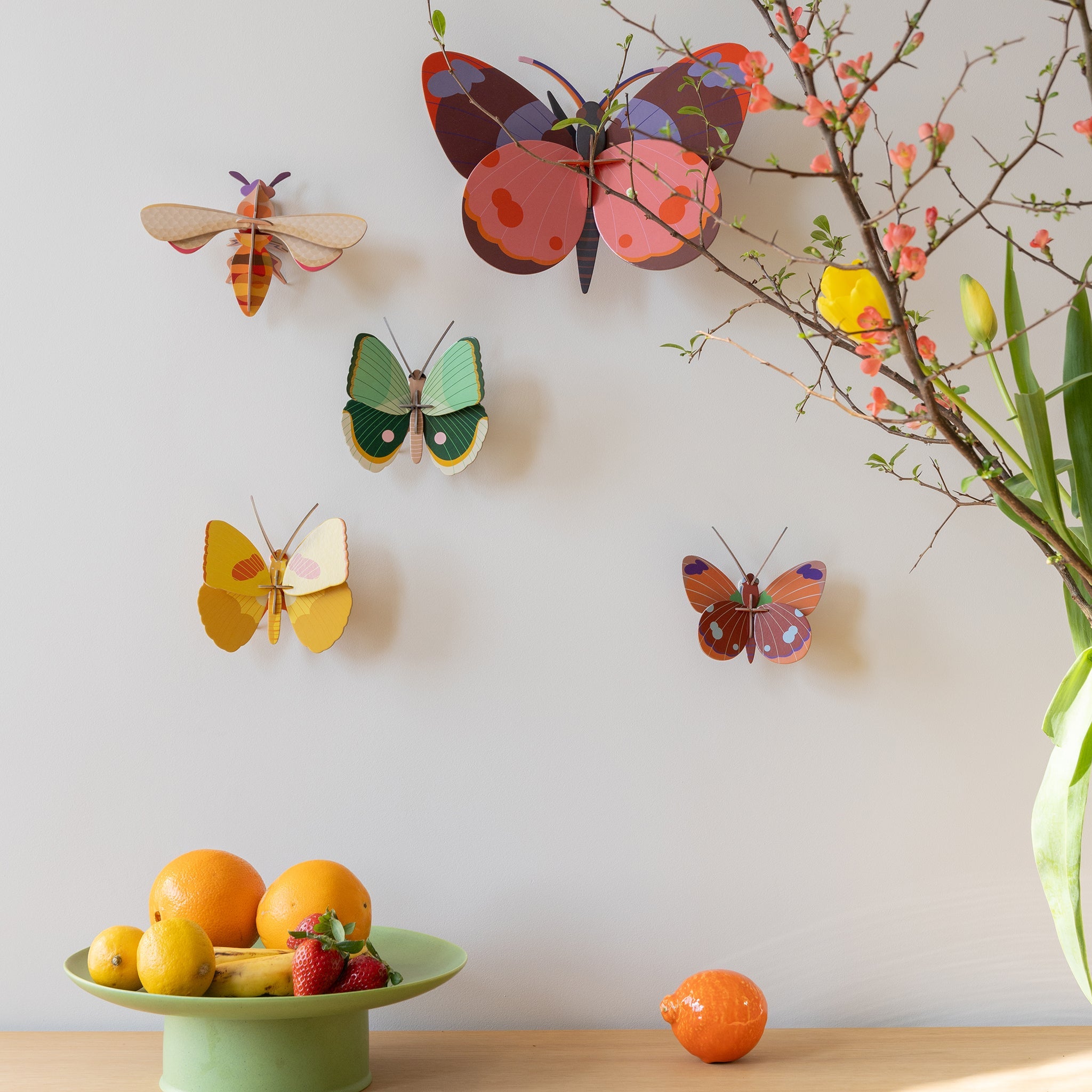 Kit de bricolage Papillon Fern Striped