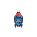 Kit de bricolage Coccinelle