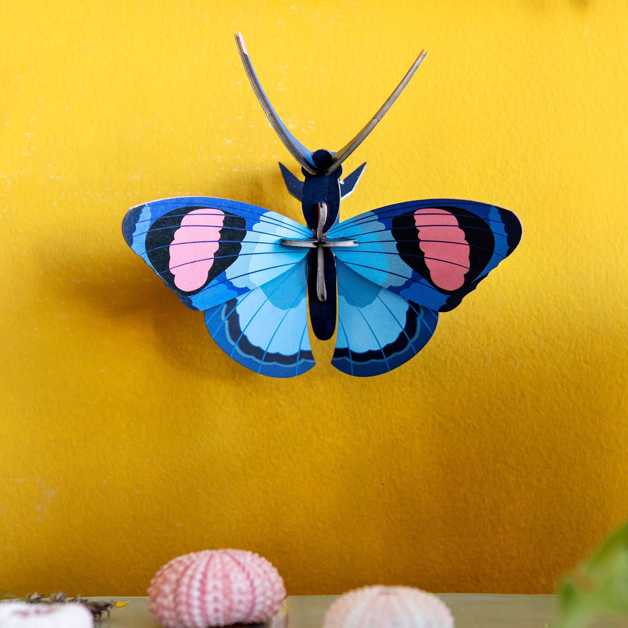 Craft set butterfly peacock eye