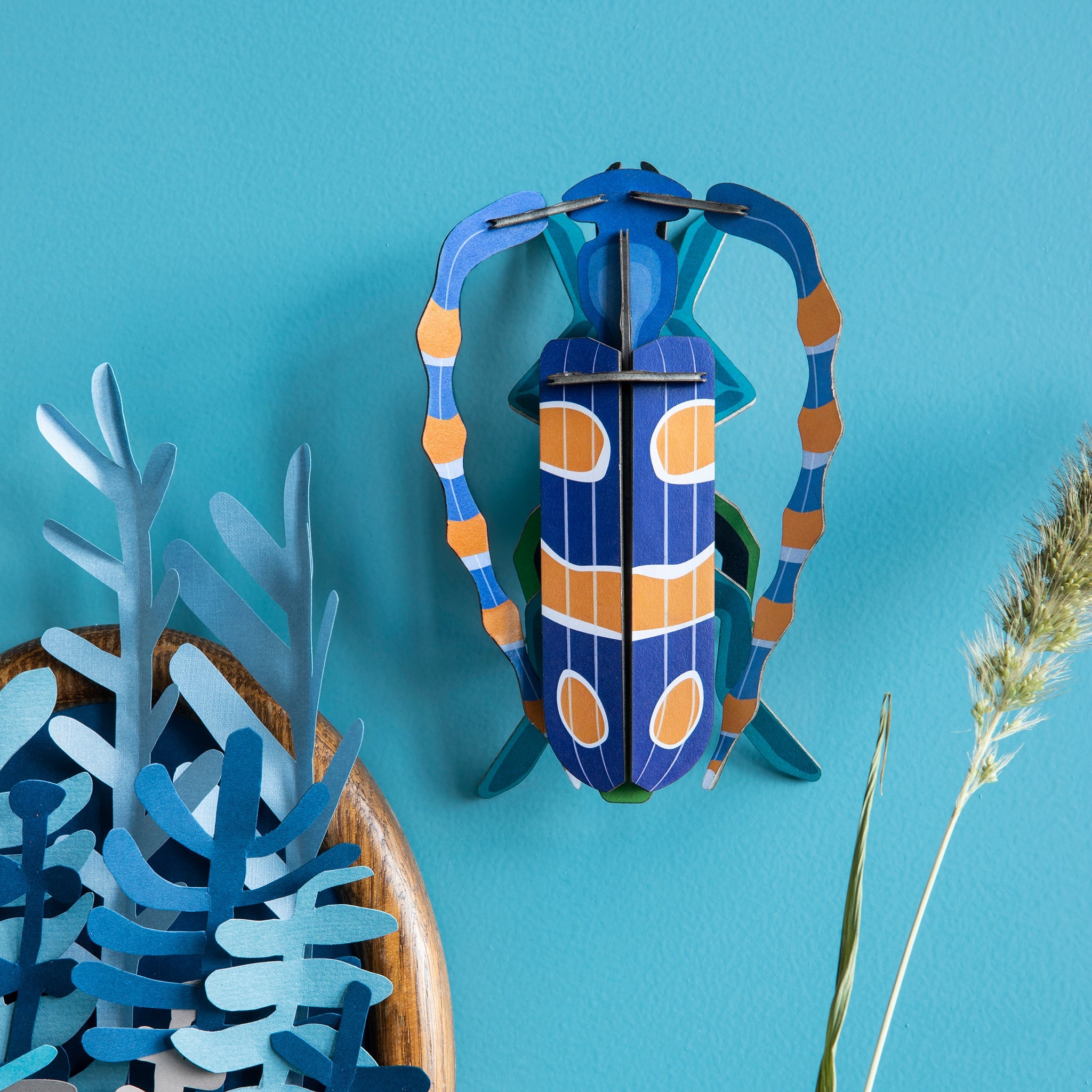 Rosalia beetle craft kit