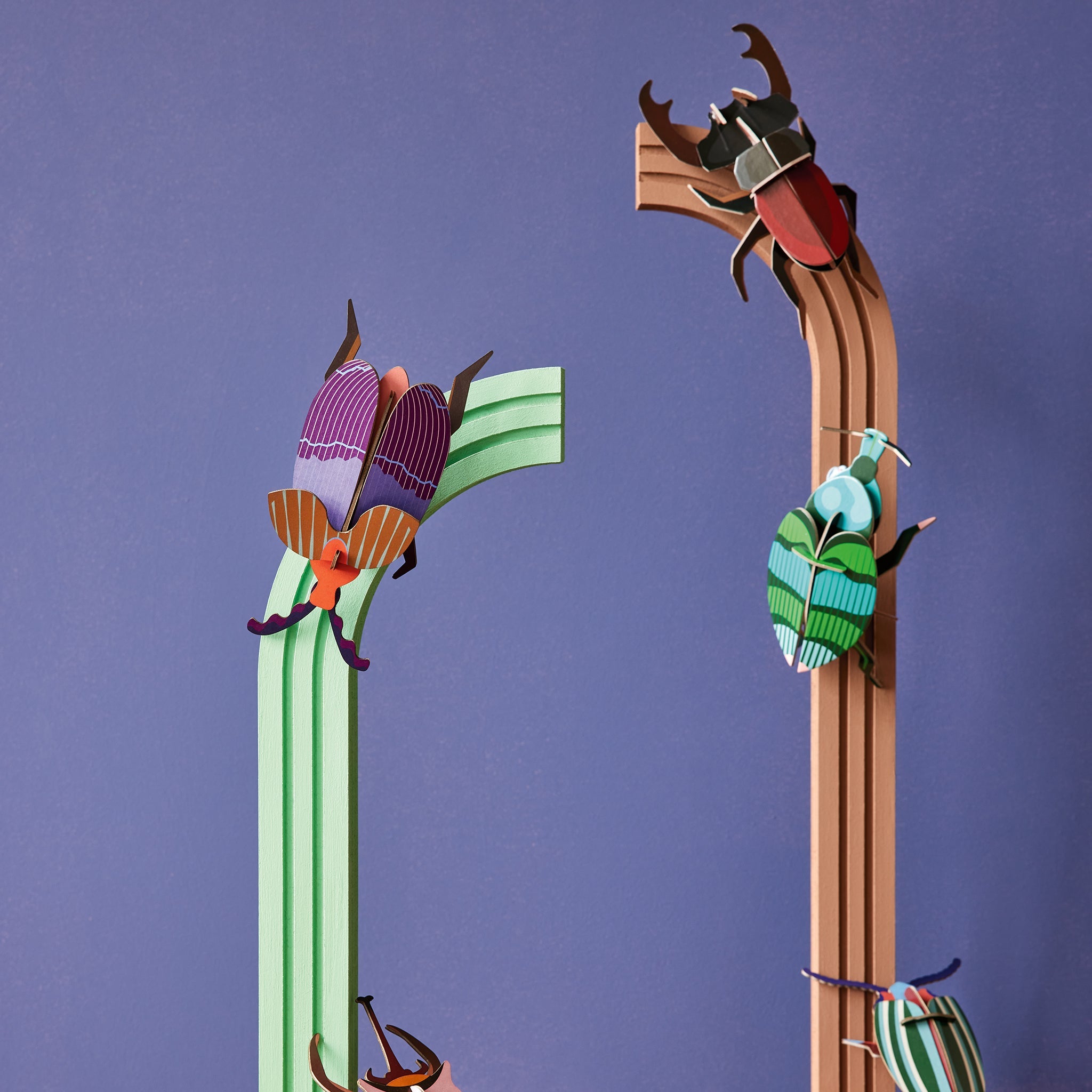 Kit de bricolage charançon