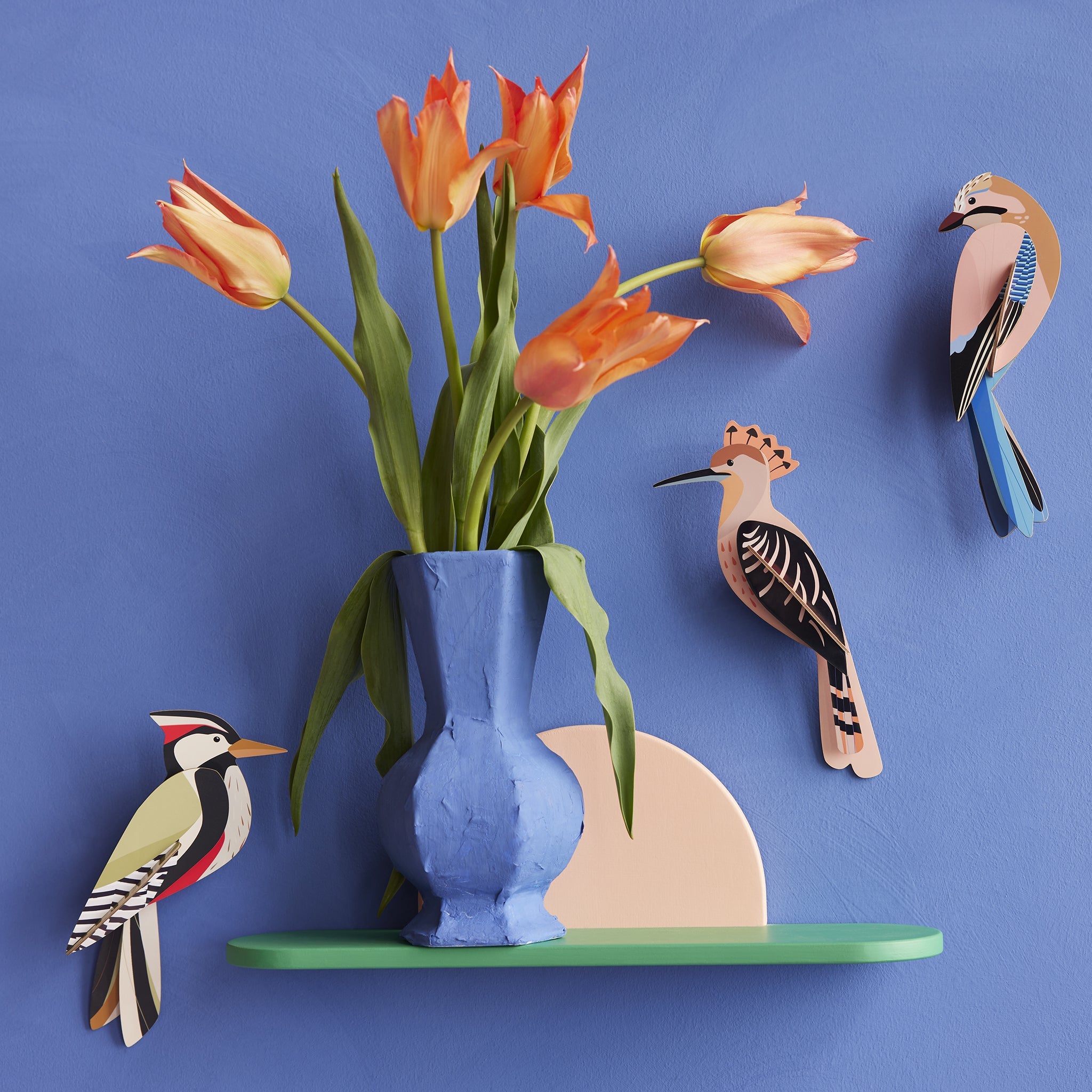 Kit de bricolage Pivert