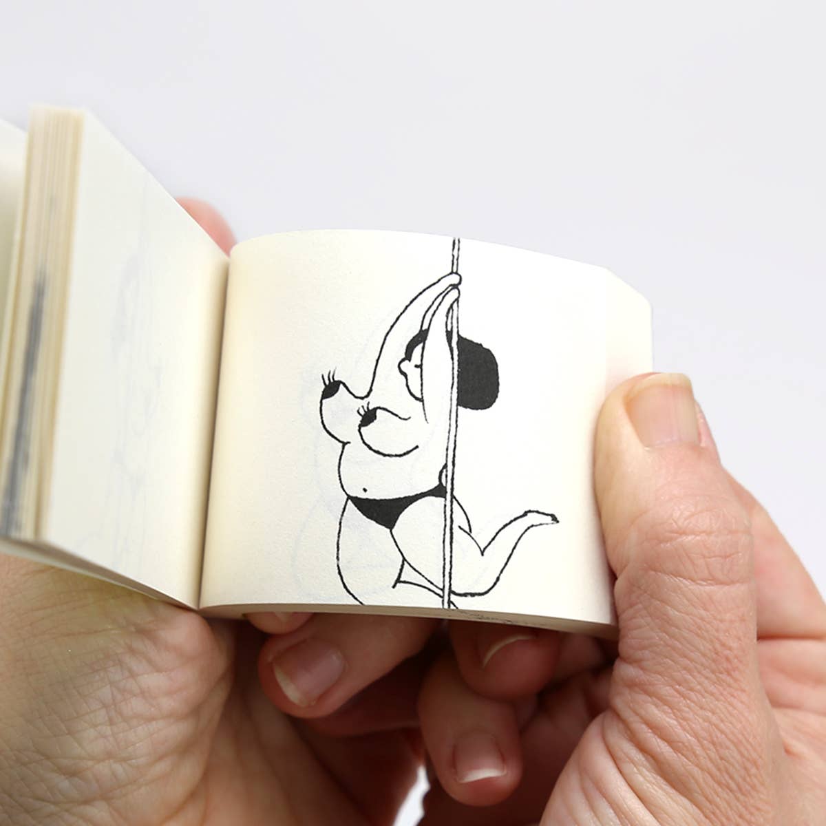 Flipbook Daumenkino "Spicing Things Up"