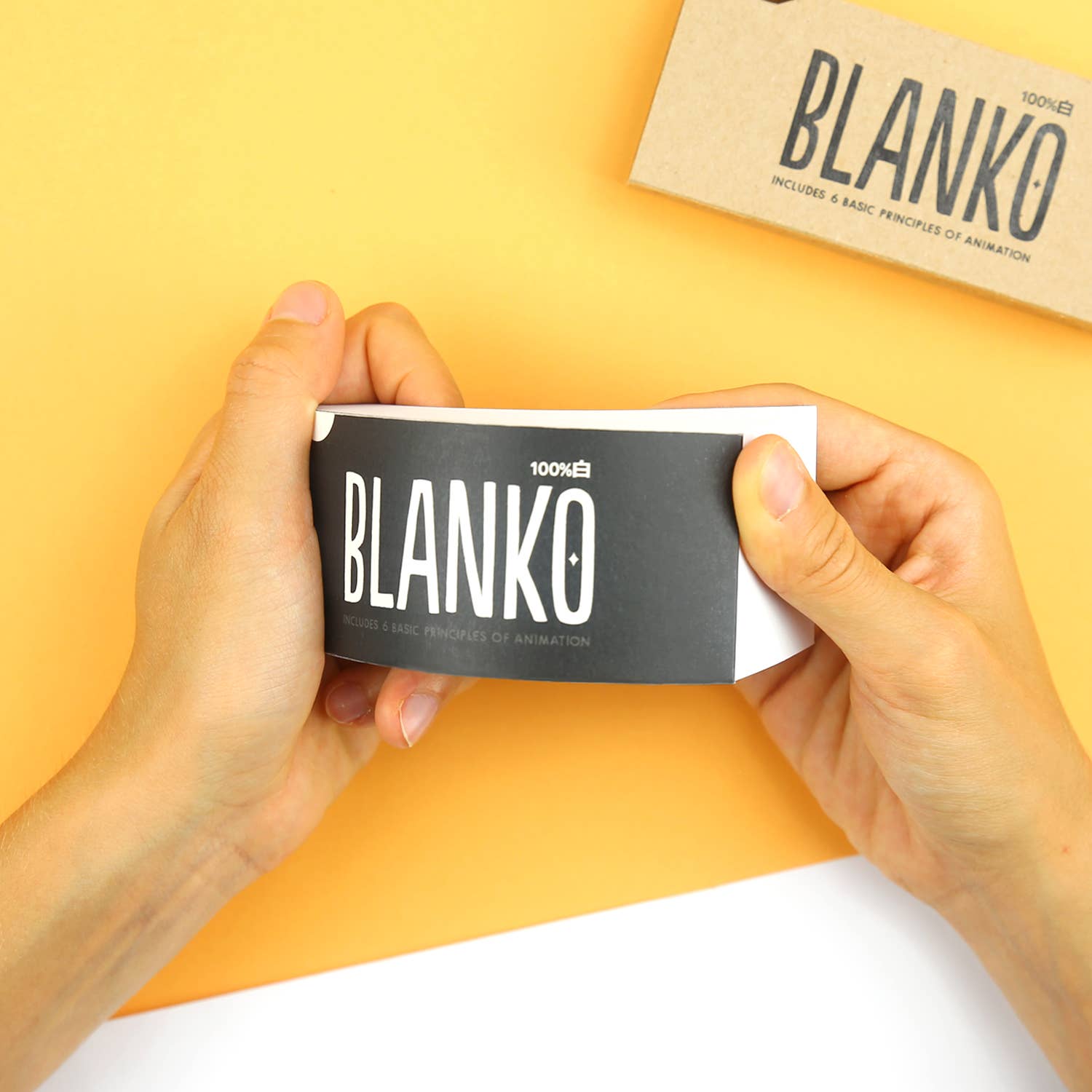 Flipbook Daumenkino "Blanko"