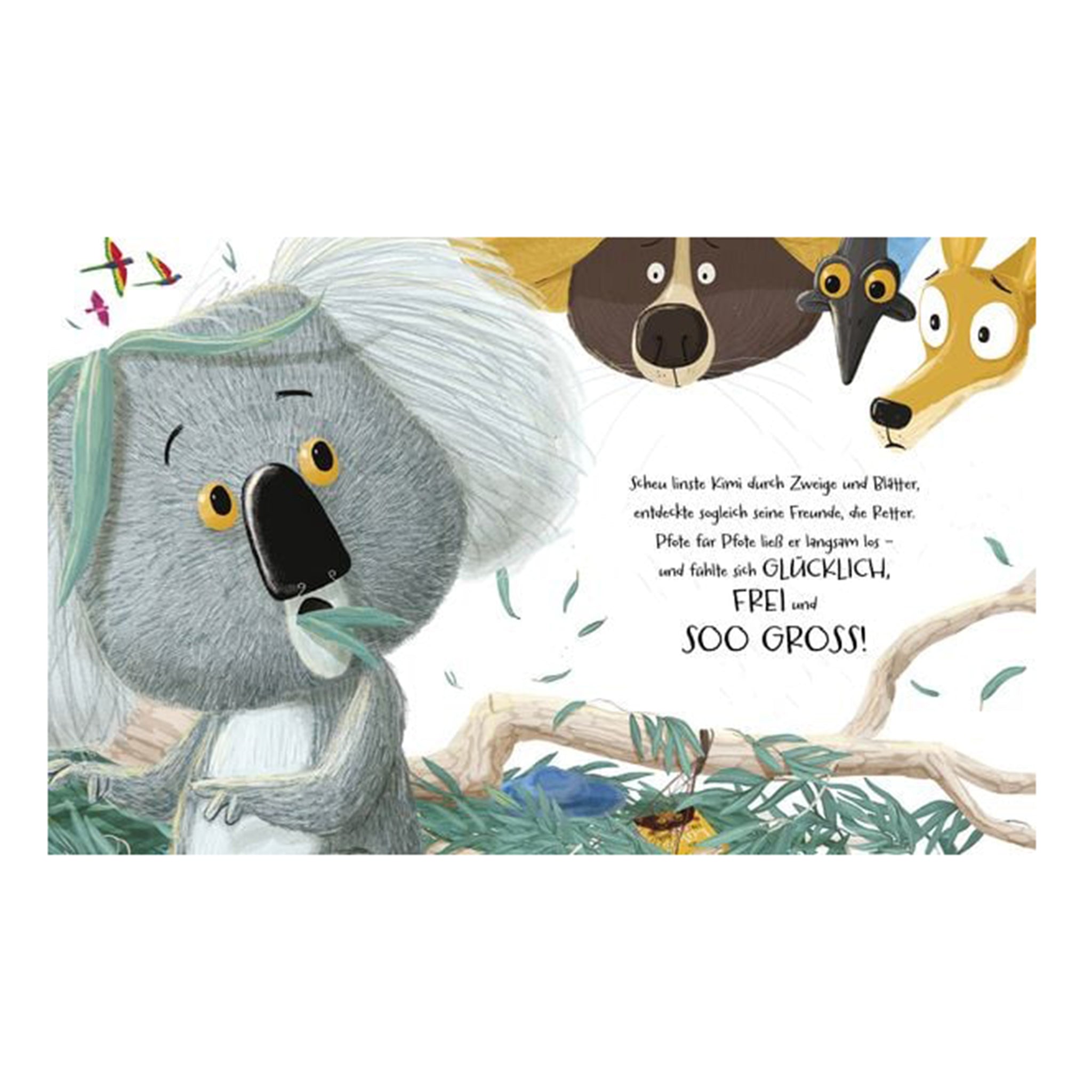 Take heart, koala bear
