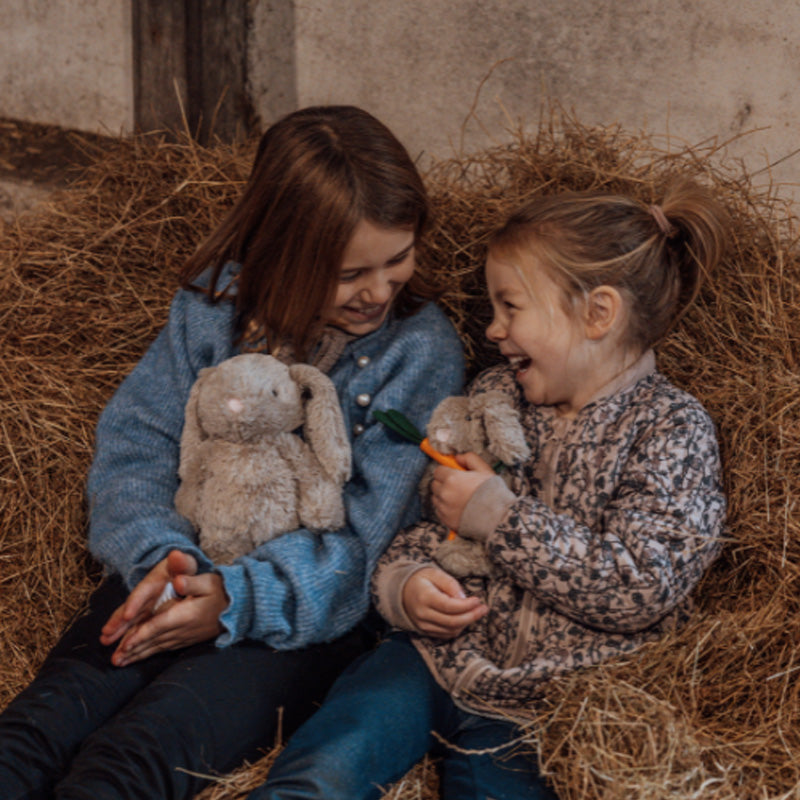 Lapin en peluche avec bébé