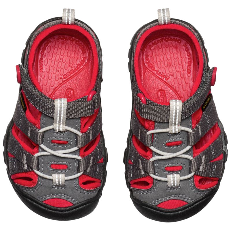 T Seacamp Ii Cnx magnet/red carpet