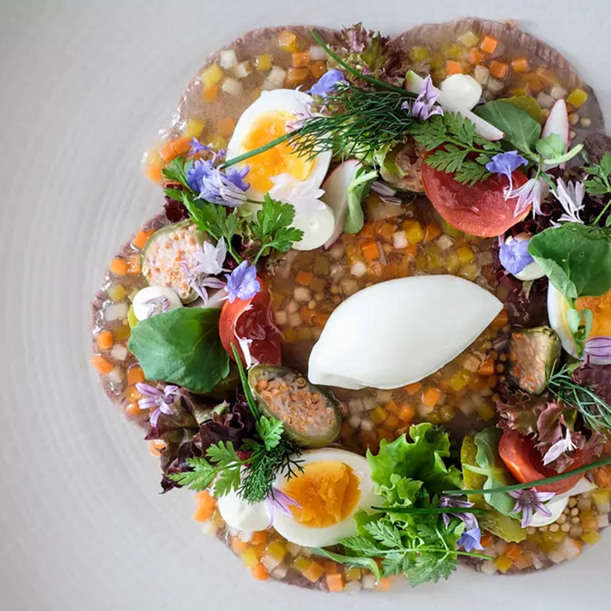 Book The Bern Cookbook