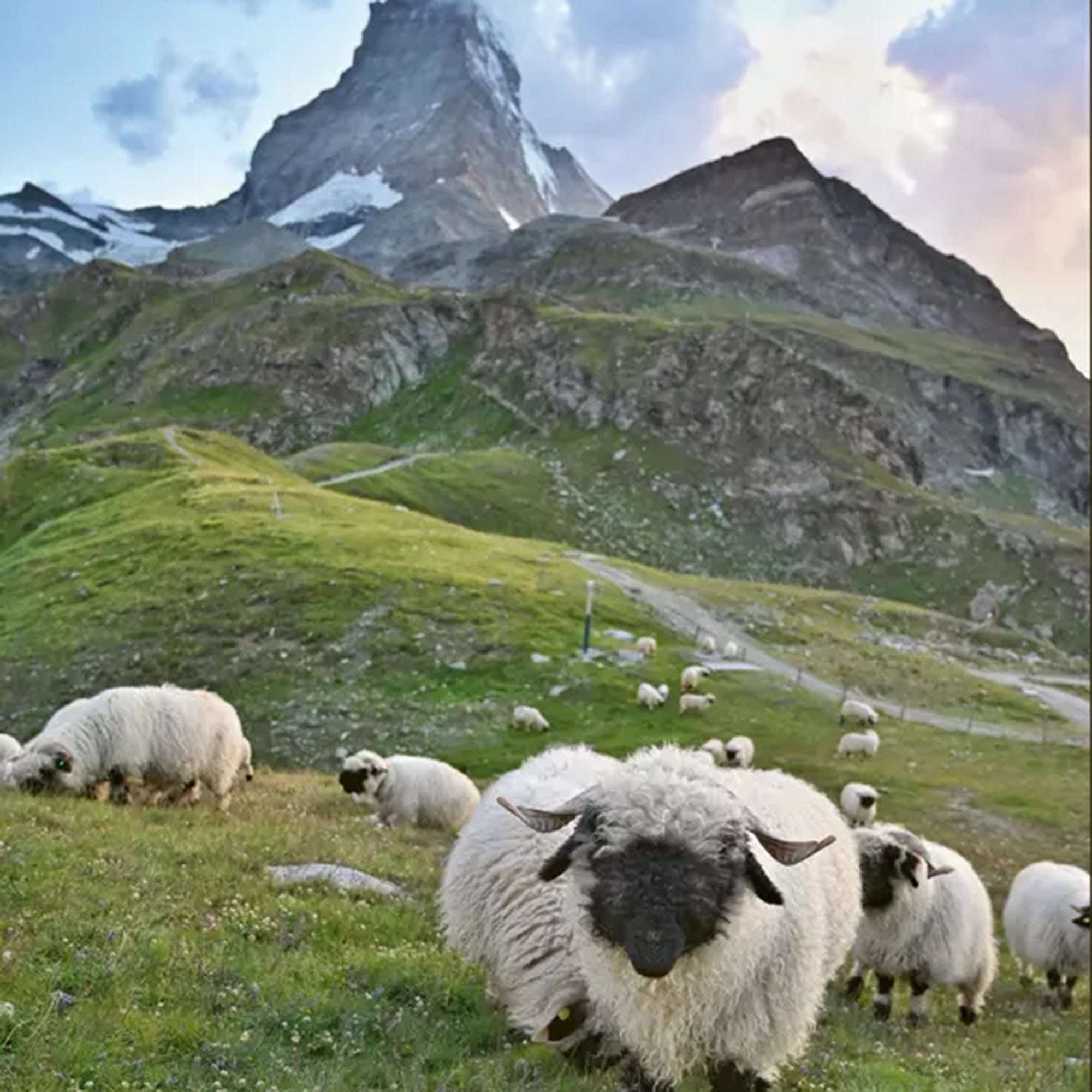 Book Fresh Air Adventure Switzerland