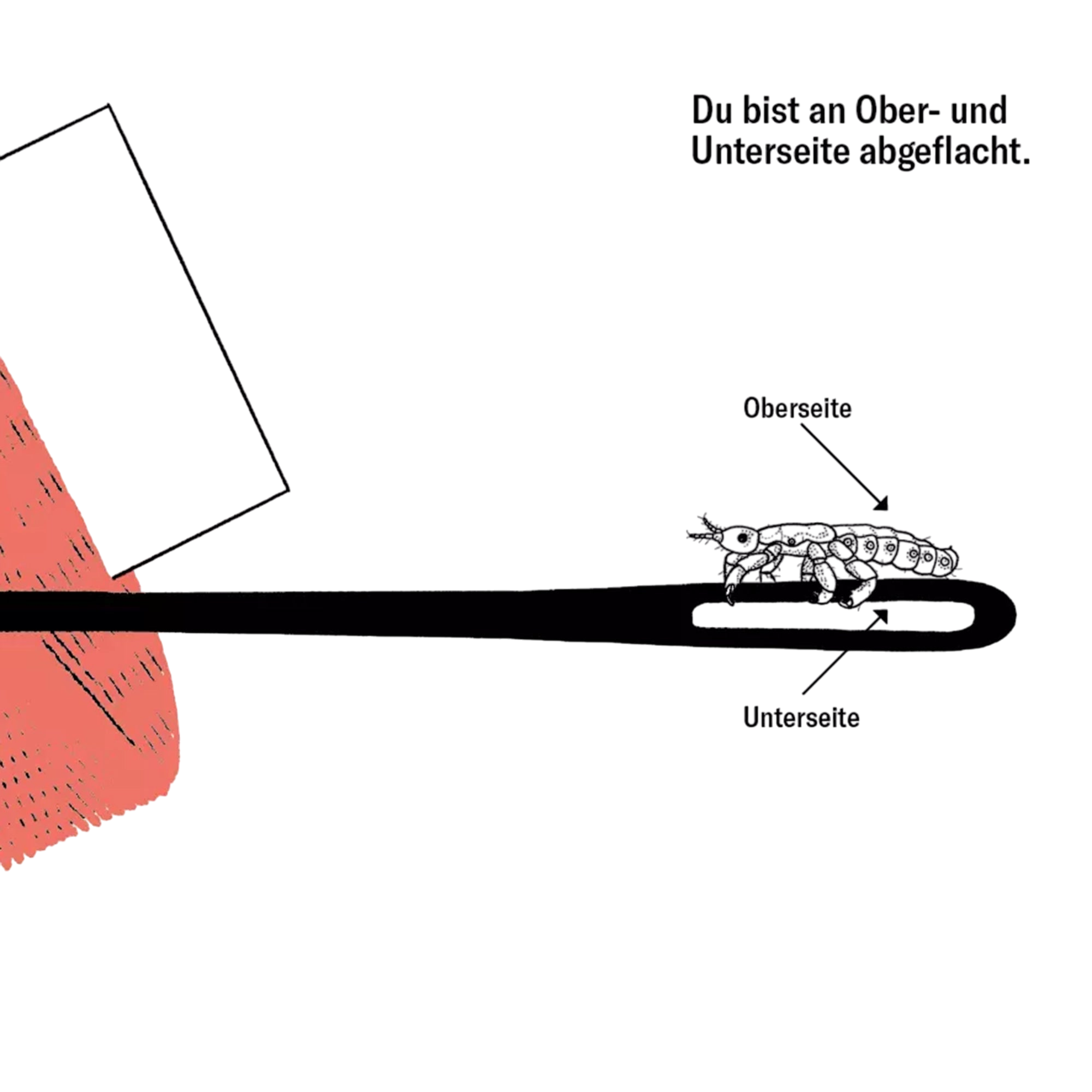 Buch Läuse - Handbuch zum Überleben auf Menschen