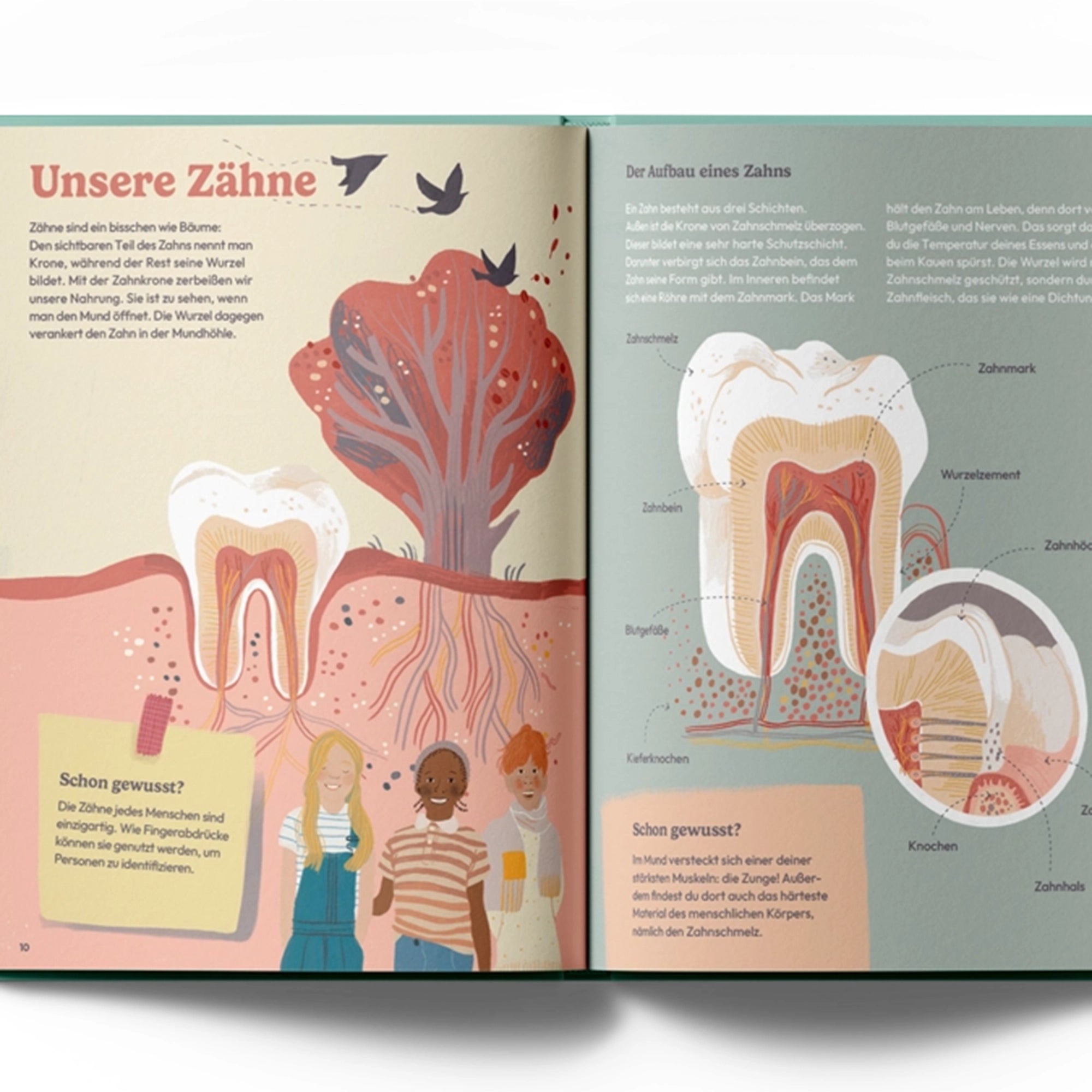 Book From gold tooth to poison tooth