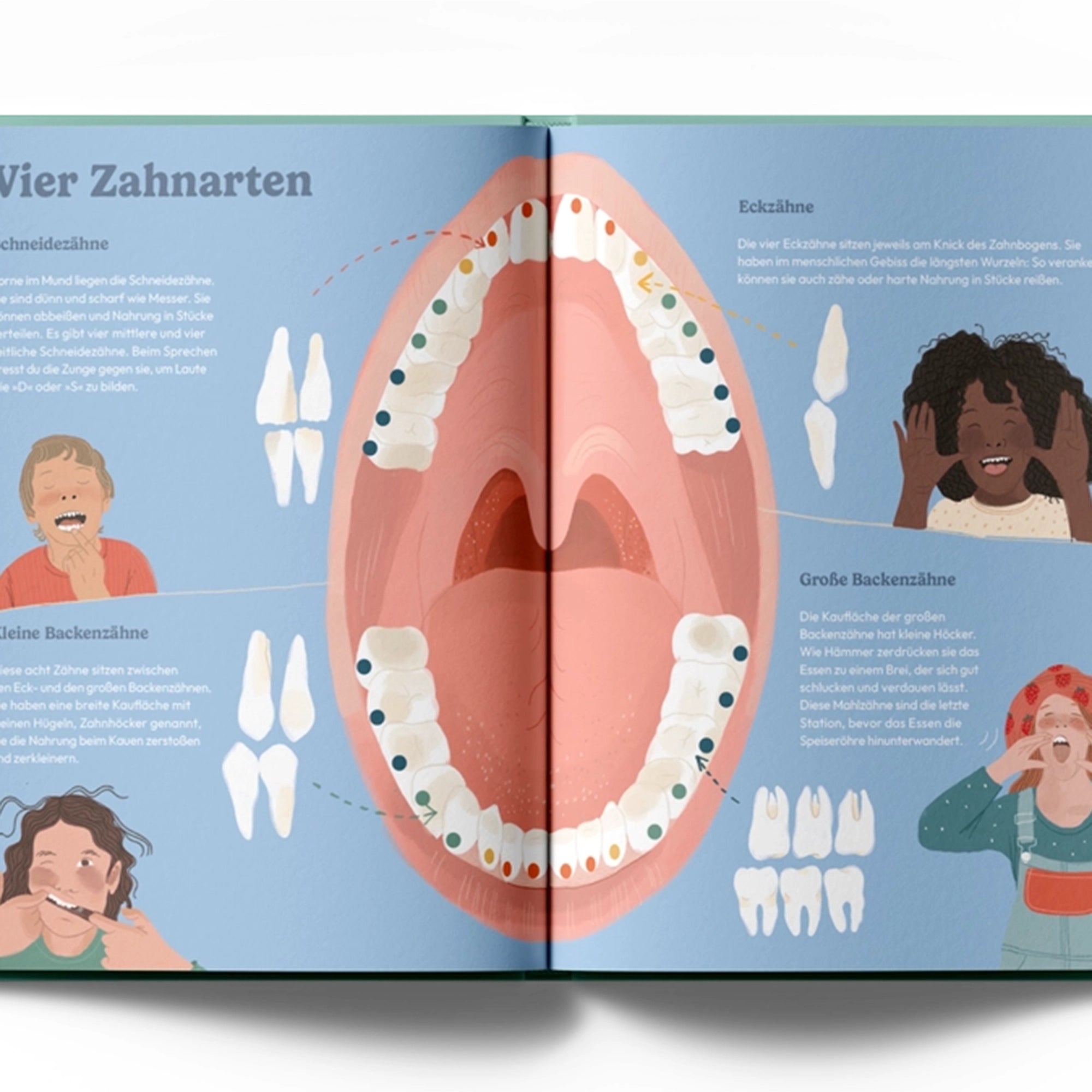 Book From gold tooth to poison tooth