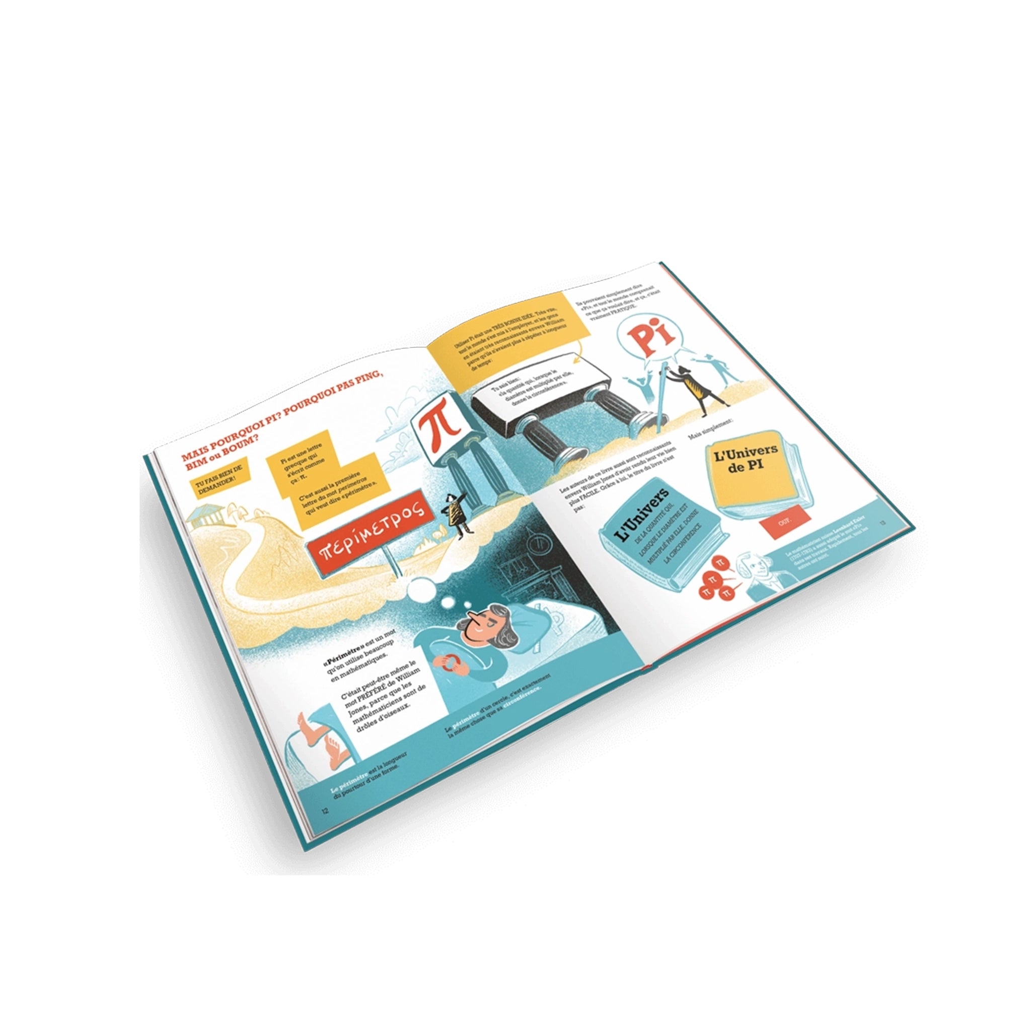 Buch Verrückt nach Pi