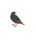 Livre Ornithorama FR