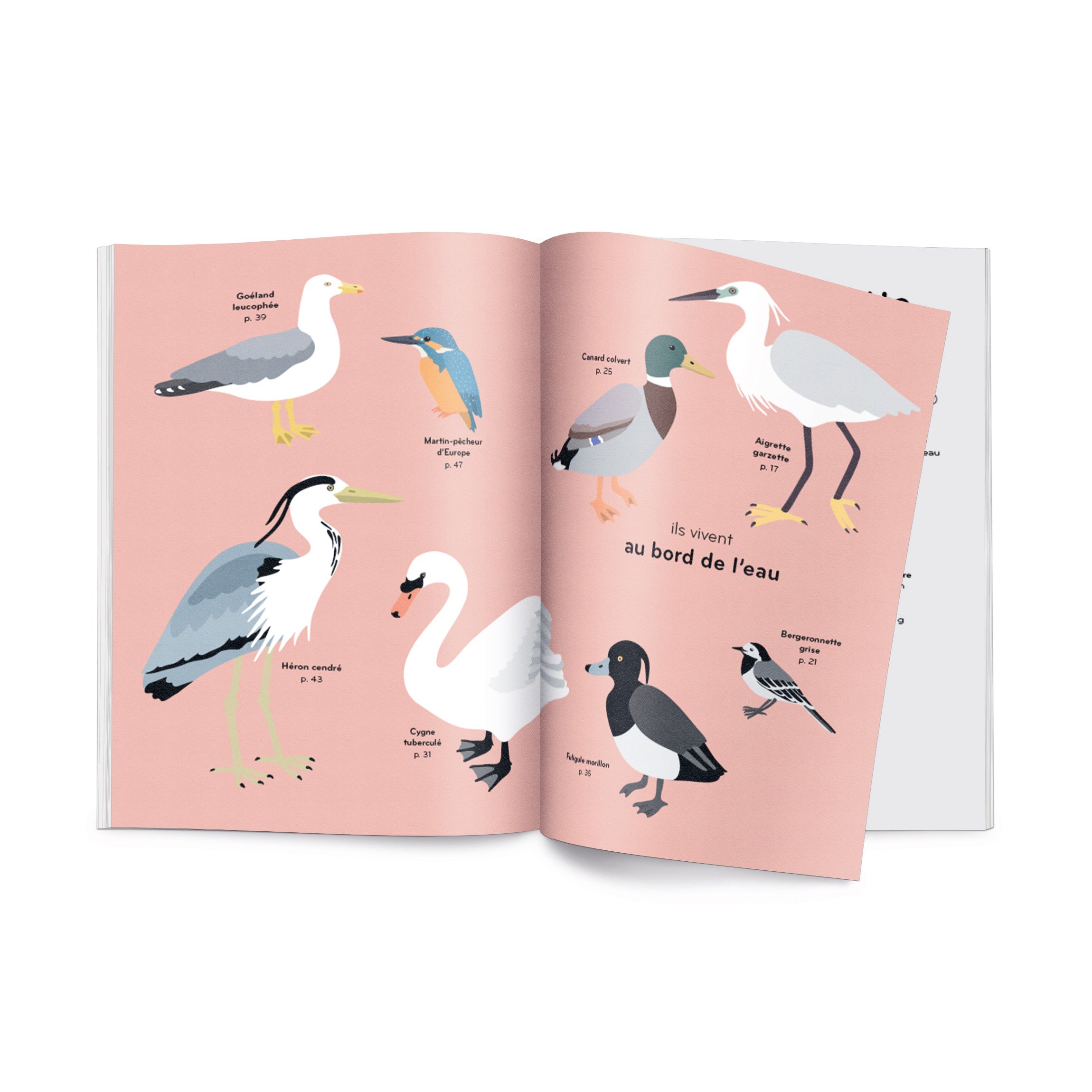 Livre Ornithorama FR