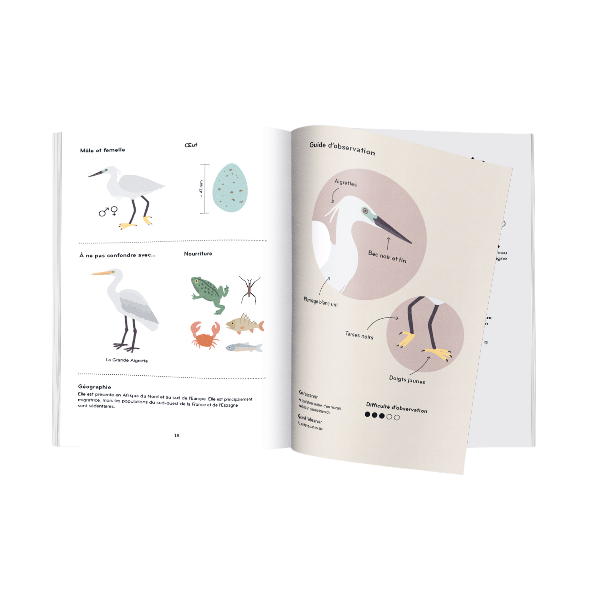 Livre Ornithorama FR