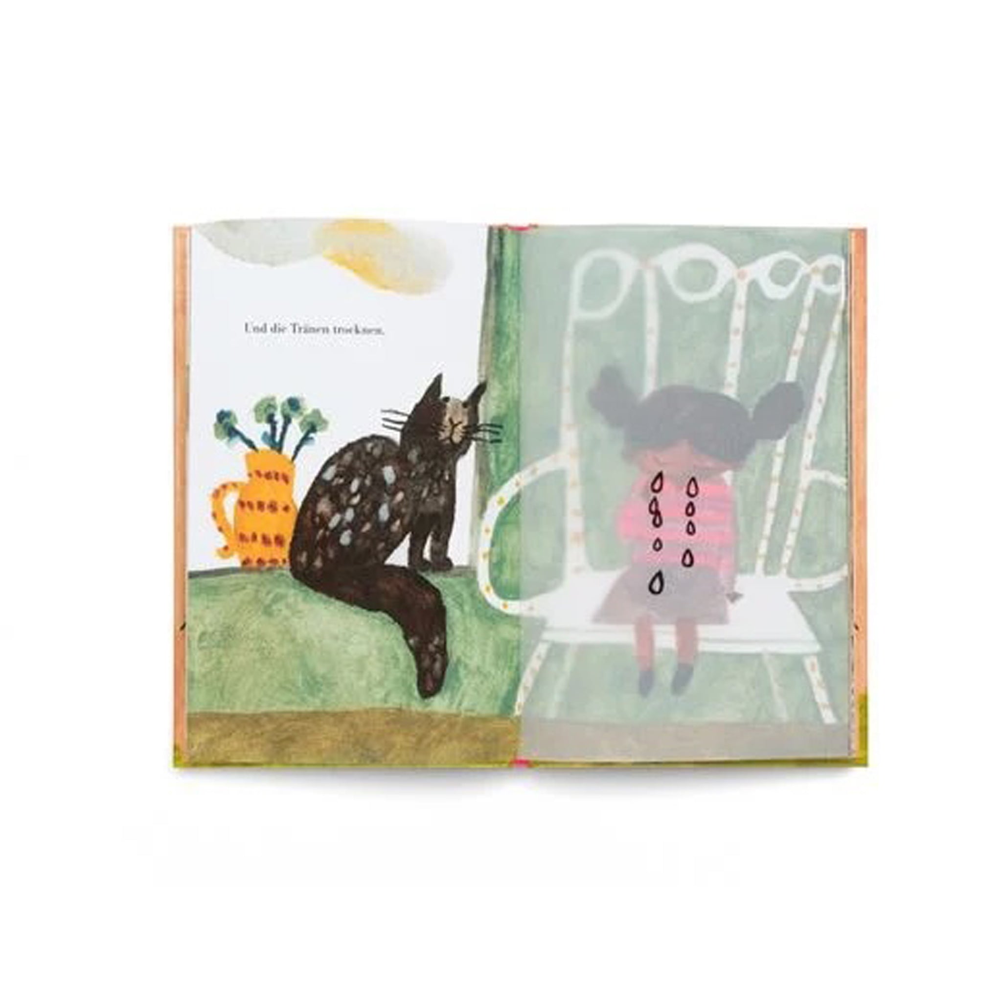 Buch Dinge, die vorüber gehen