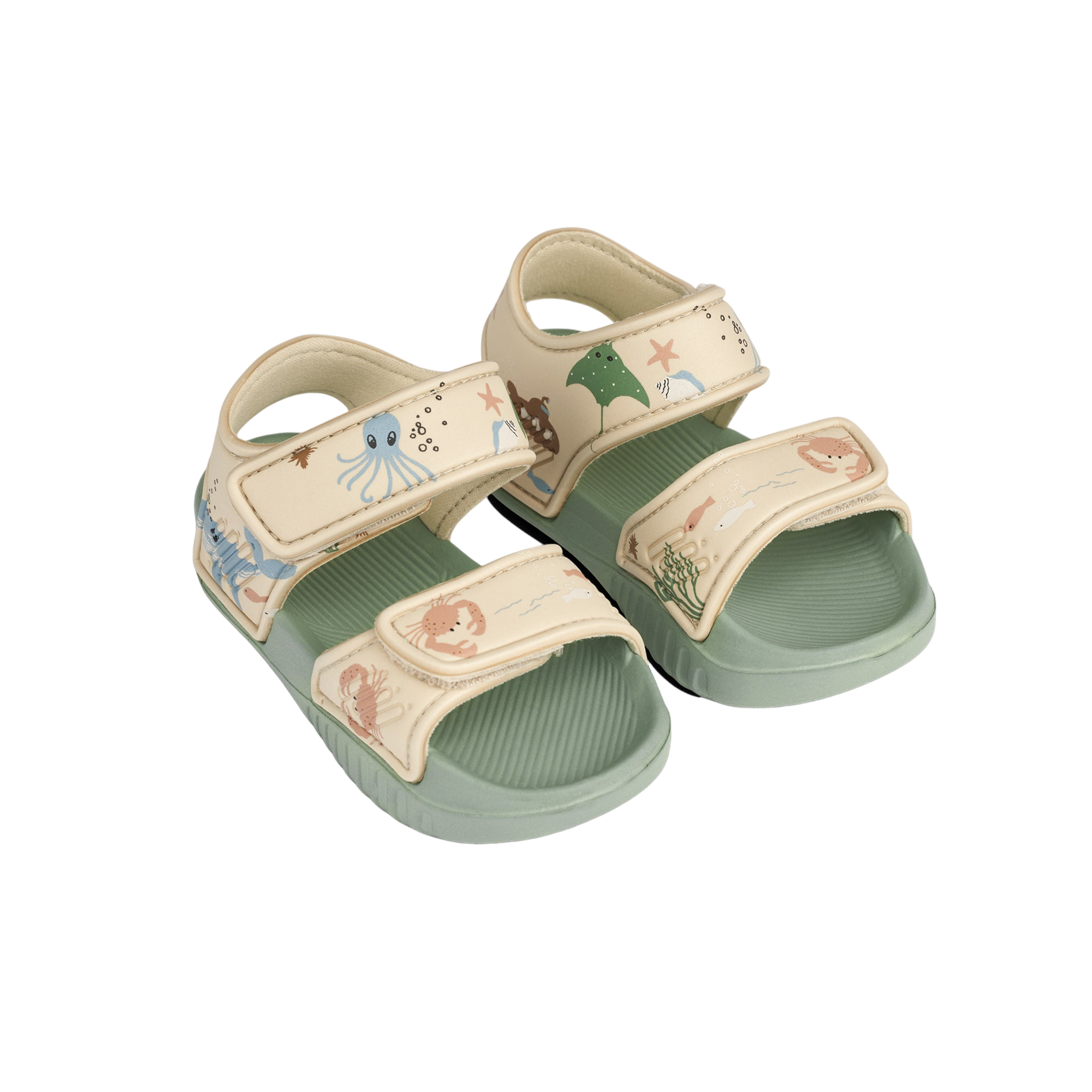 Sandales Blumer Printed Sea creature Sandy