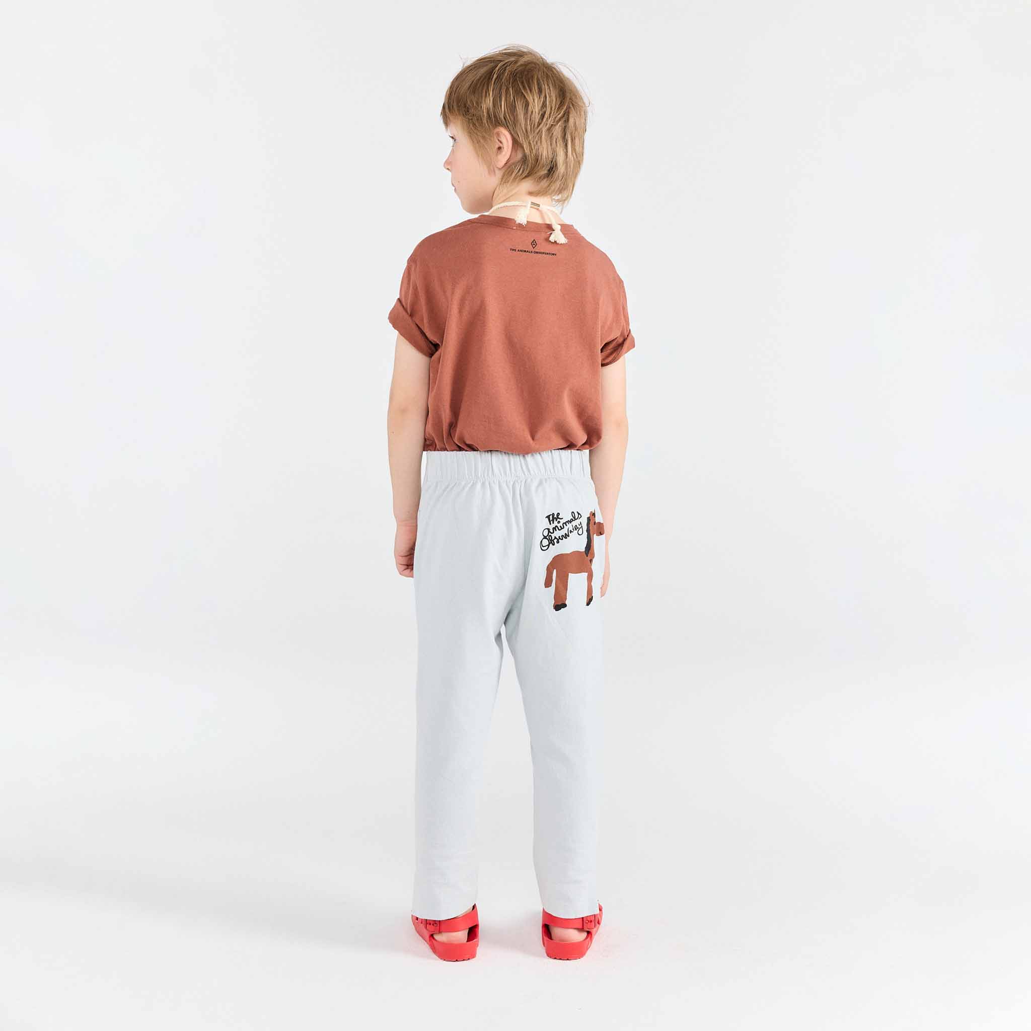 T-shirt Rooster Brown