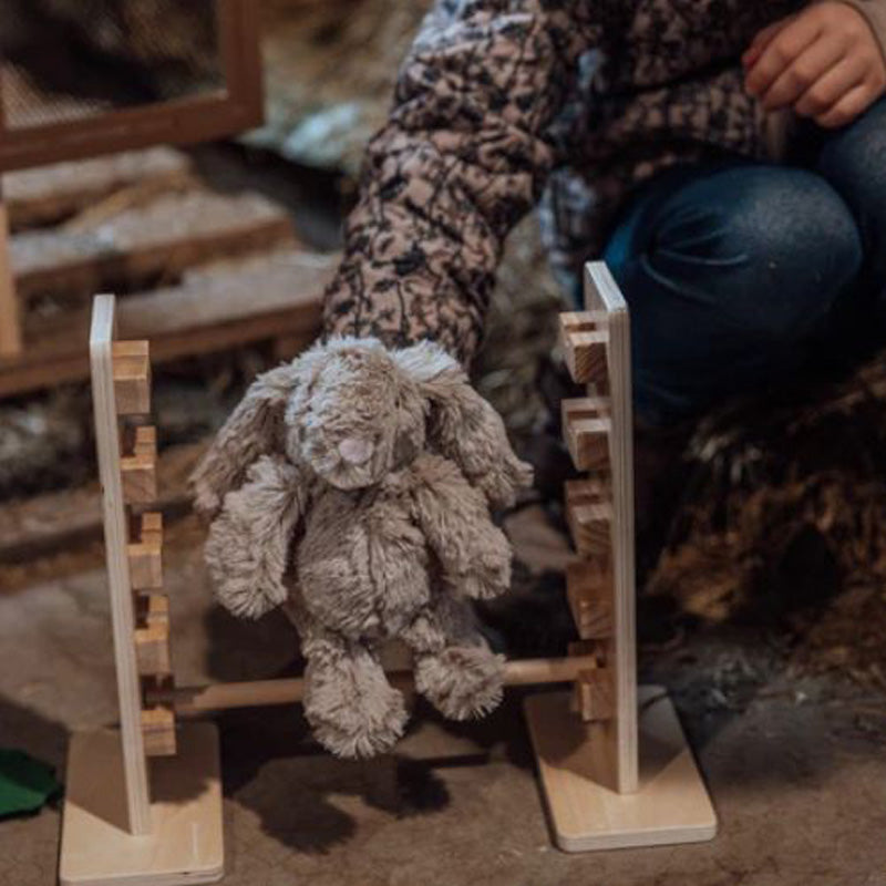 Rabbit hutch with jumping ramp