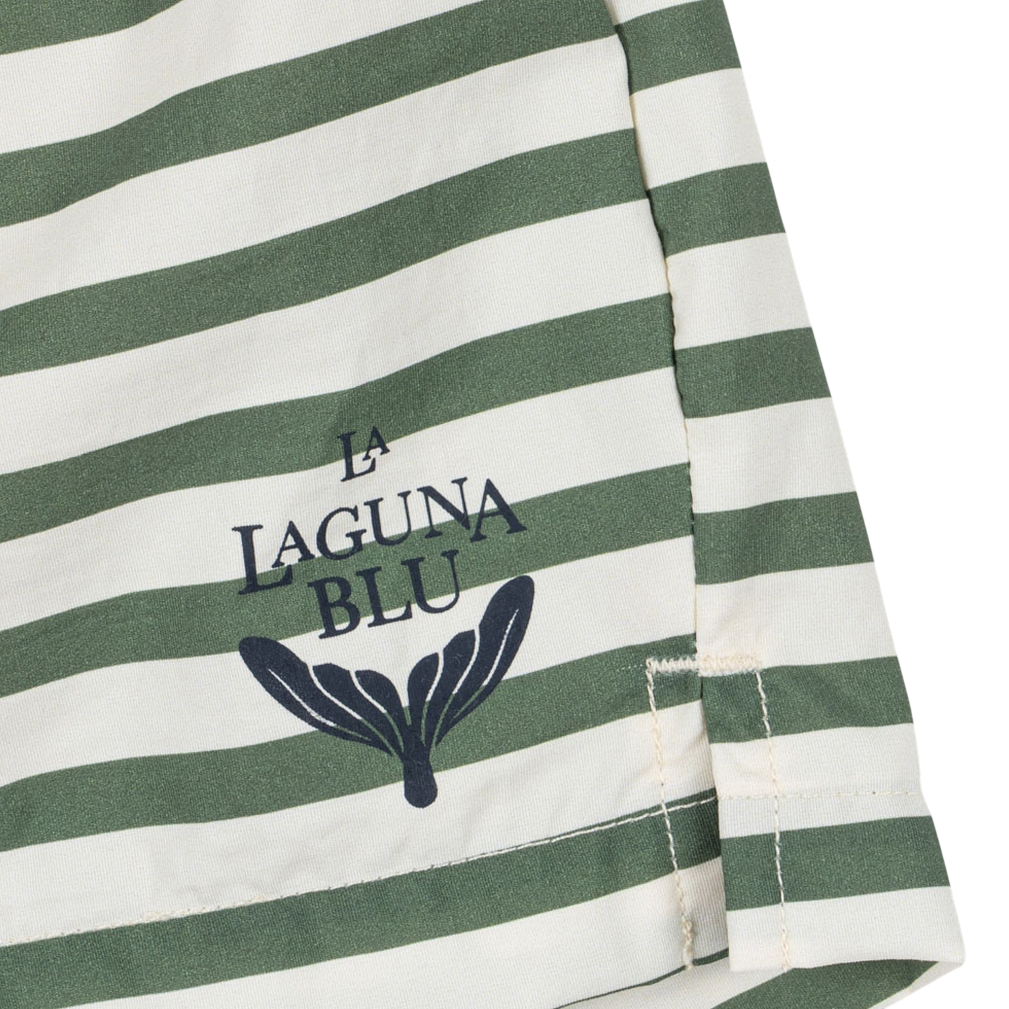 Asnou Stripe Verti swim shorts