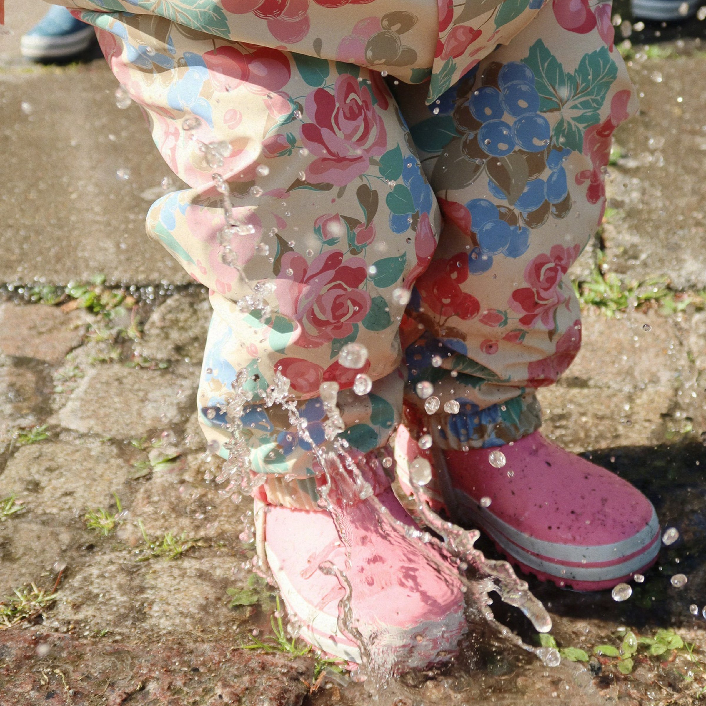 Regenset Rainy Palme Bloomigrape