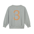 Birthday Sweatshirt 3 Grey Melange Melon