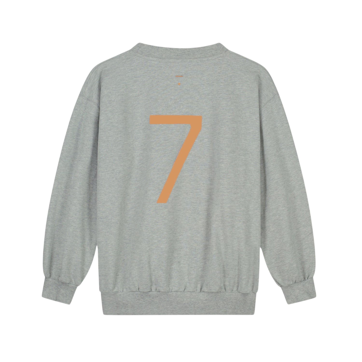 Birthday Sweatshirt 7 Grey Melange Melon