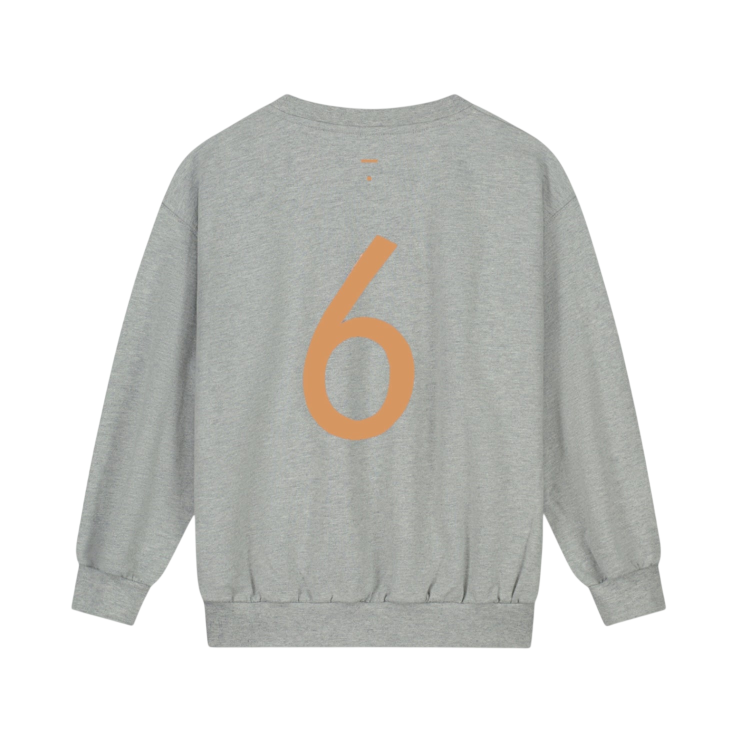Birthday Sweatshirt 6 Grey Melange Melon