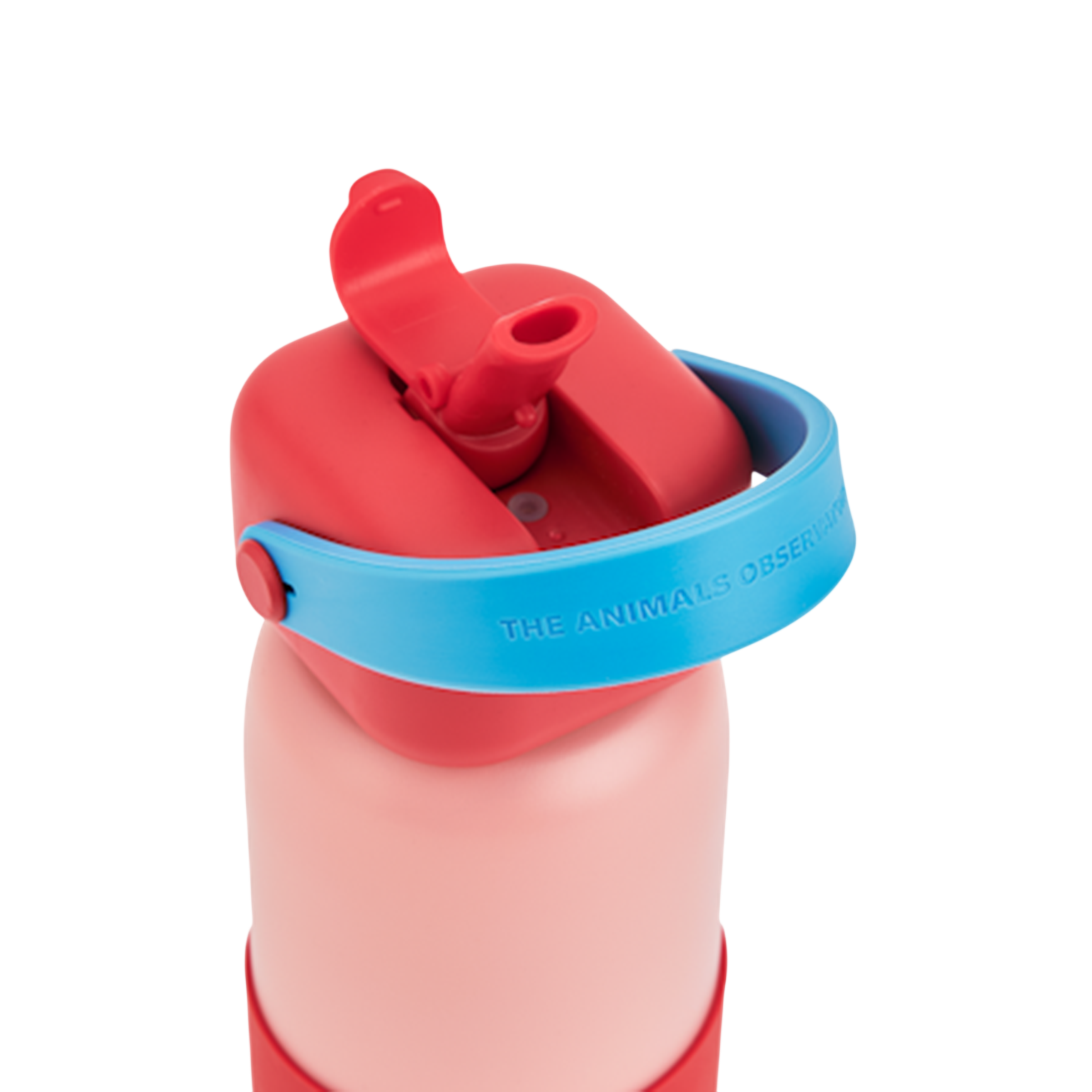 Gourde Sunnies Snapper