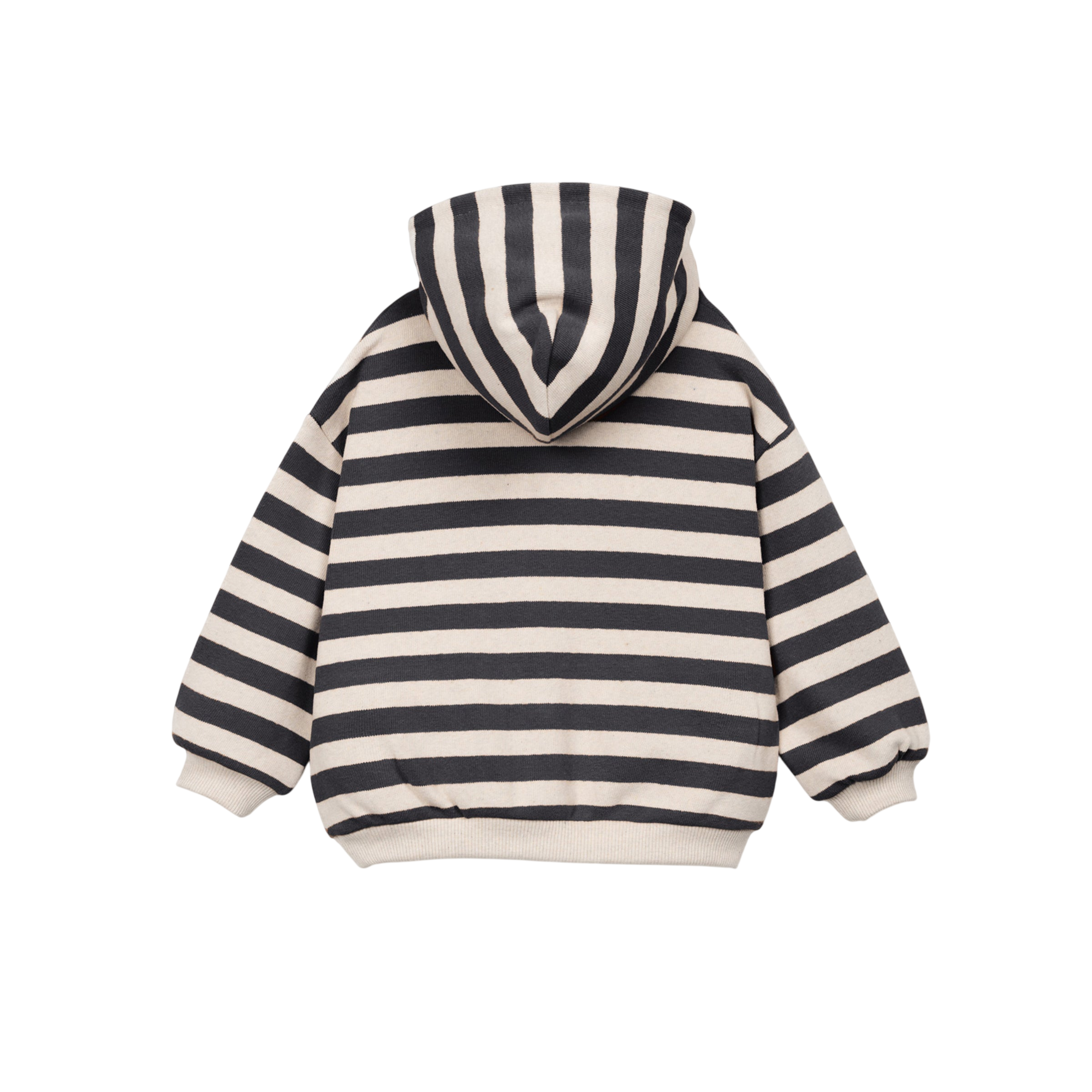 Sweatshirt Striped Waste