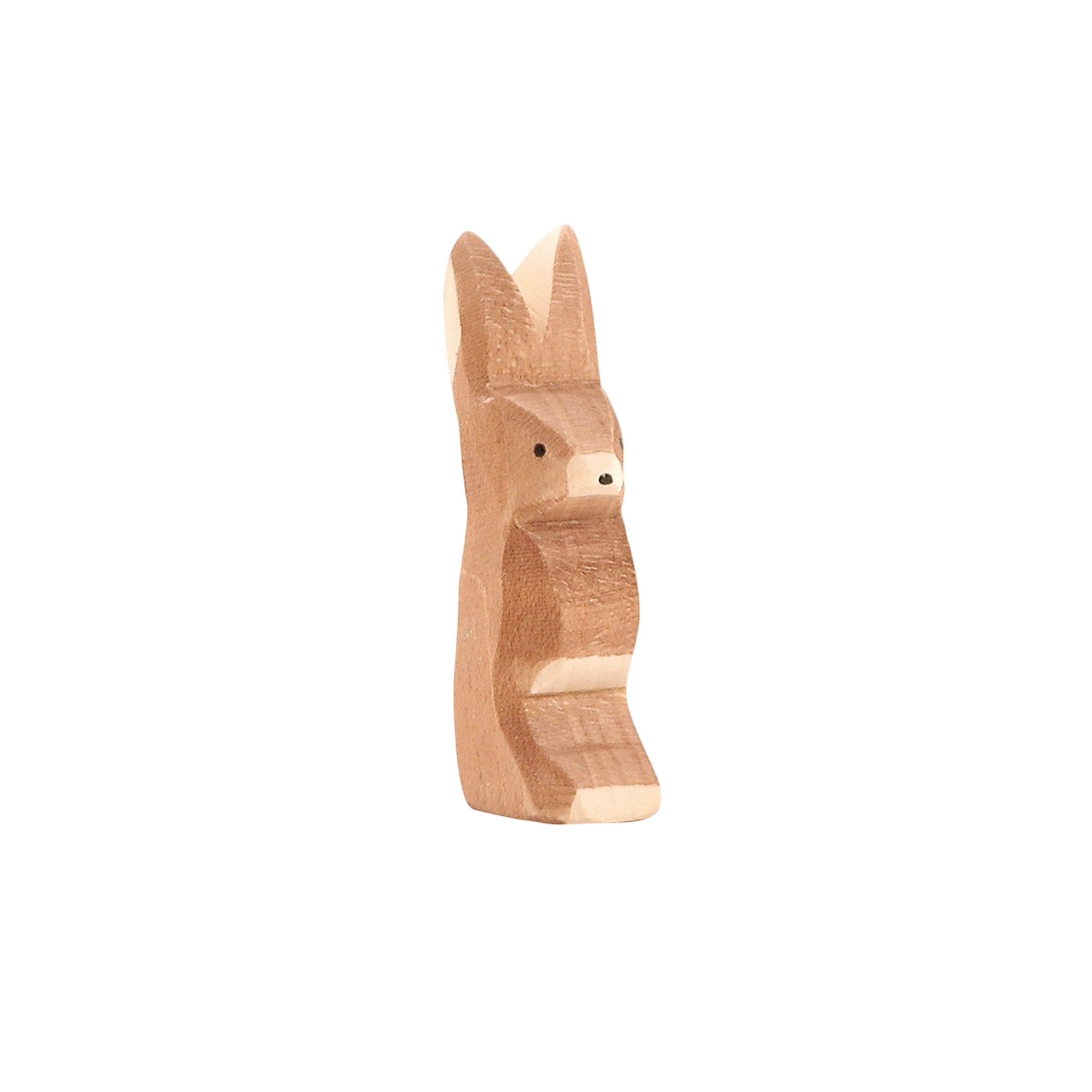 Ostheimer Lapin oreille haute