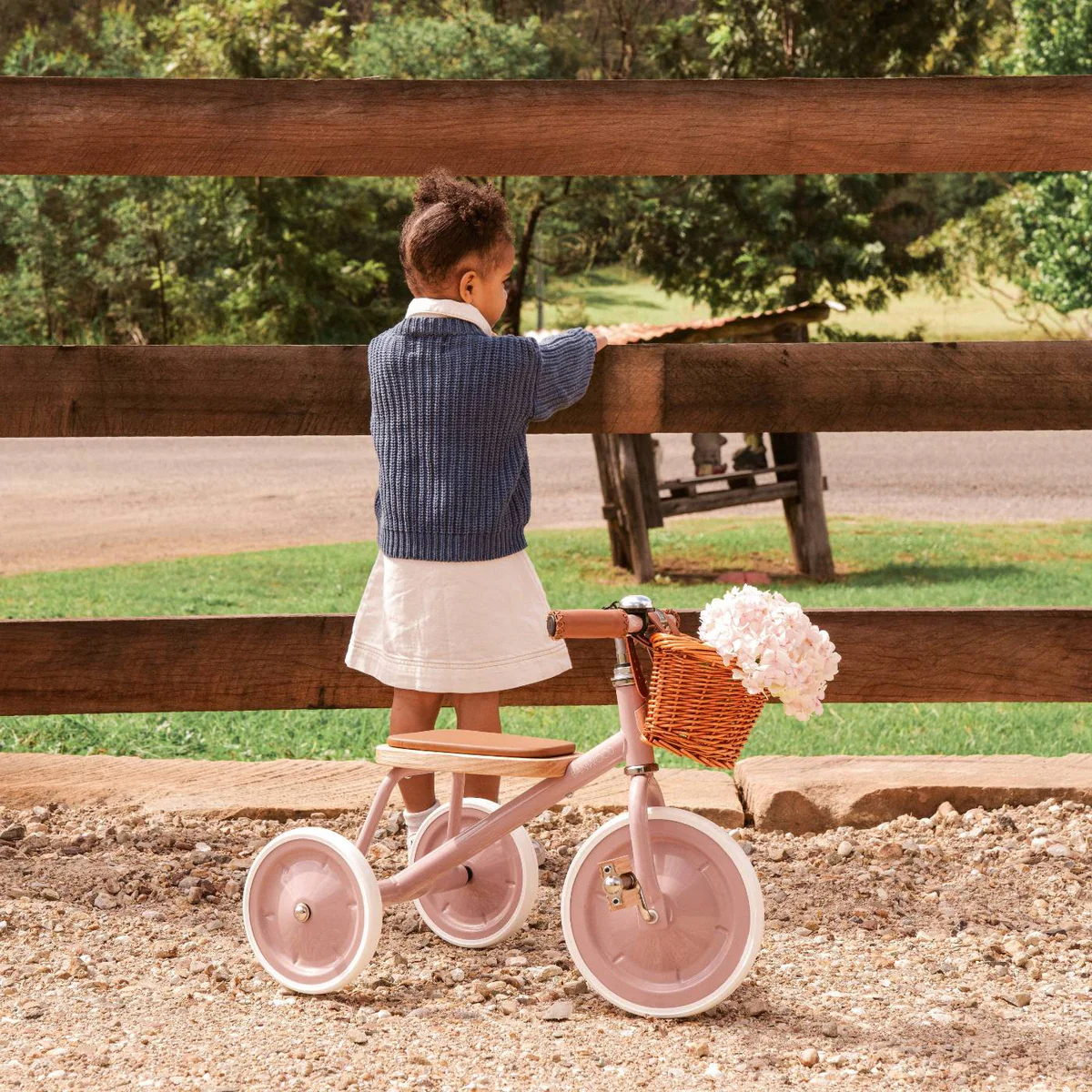 Banwood Tricycle Vintage Dusty Pink
