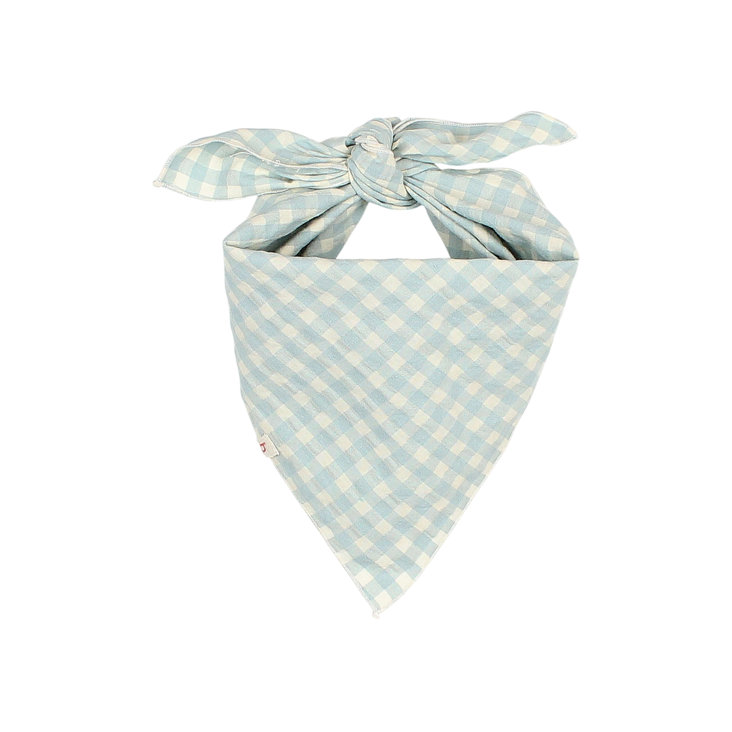 Bandana Gingham Aqua