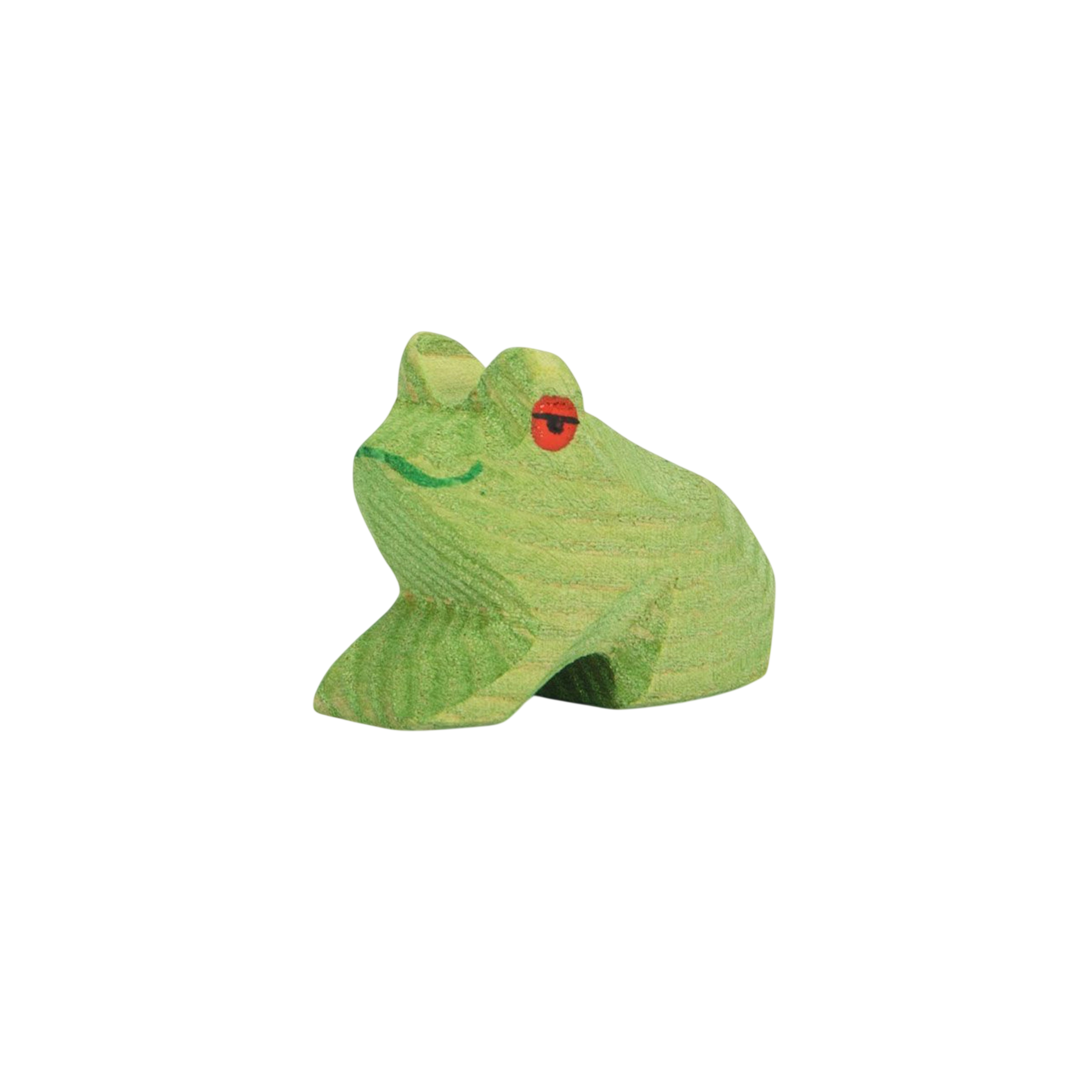 Ostheimer frog sitting wood
