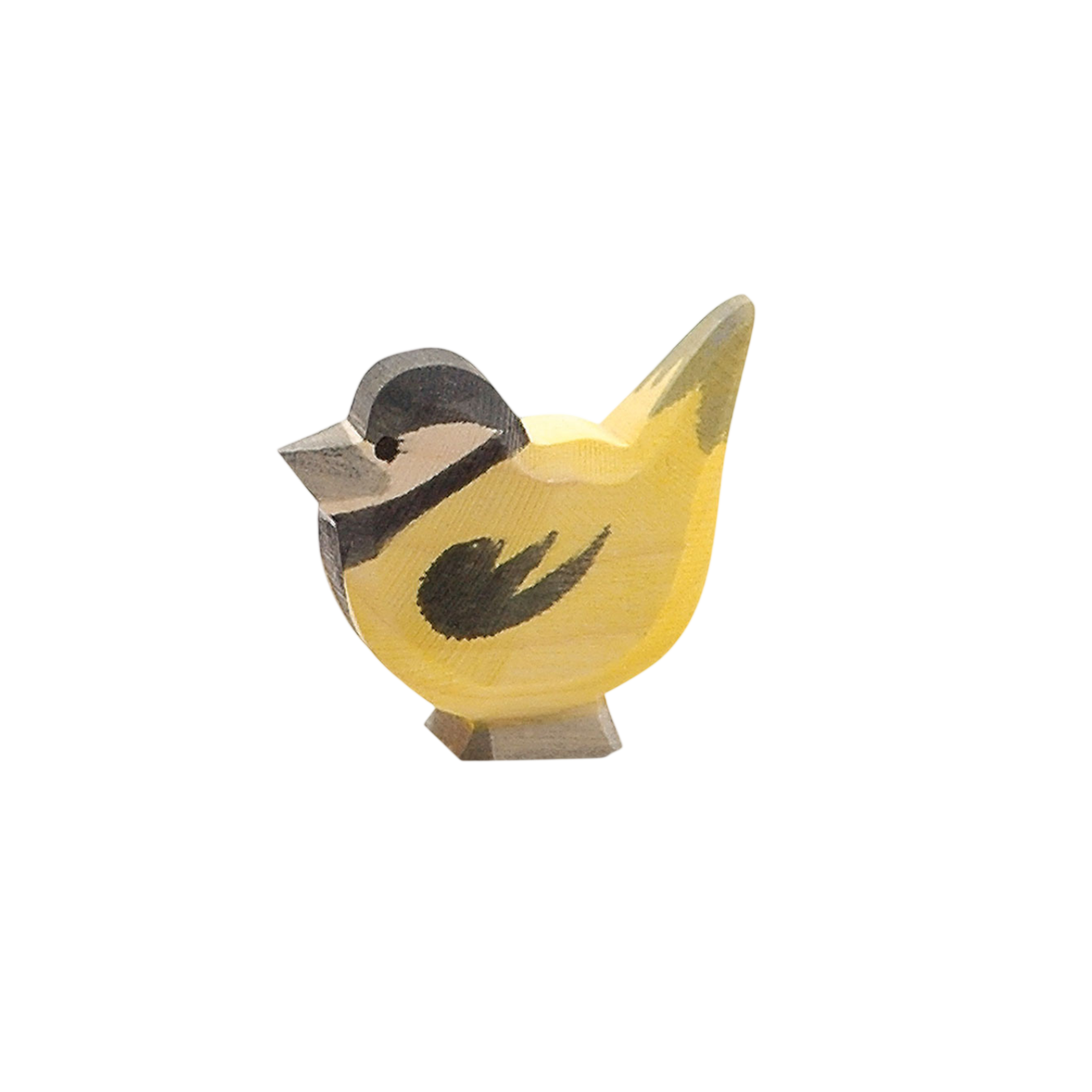 Ostheimer titmouse wood