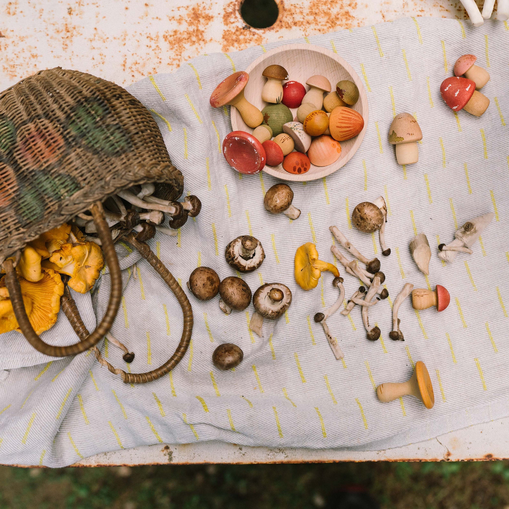 Champignons en bois Grapat