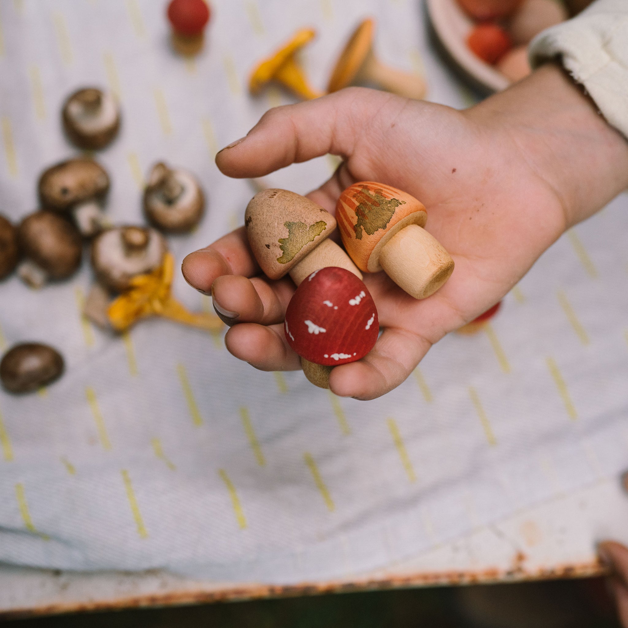 Champignons en bois Grapat