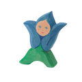 Ostheimer Flower child gentian