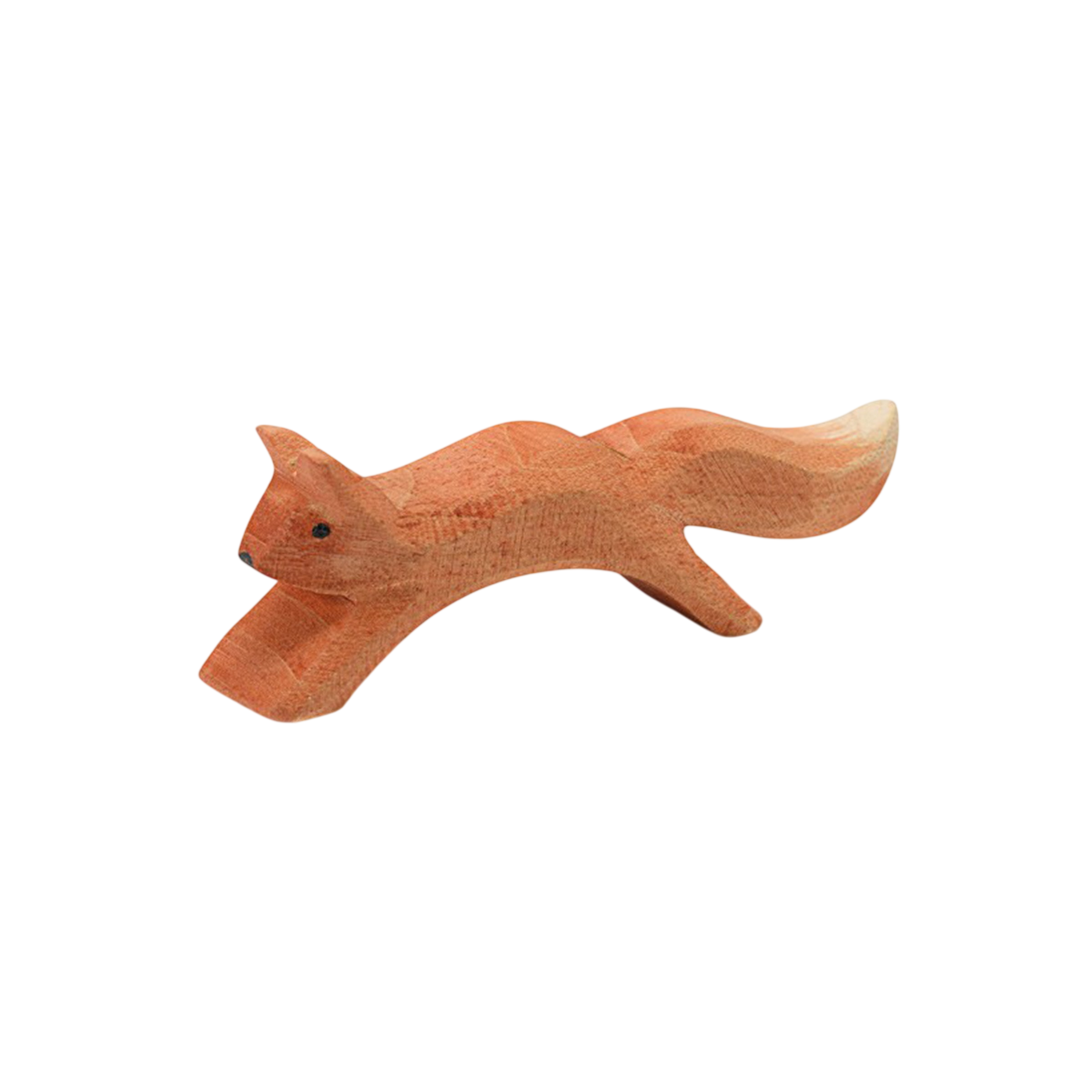 Ostheimer squirrel jumping wood