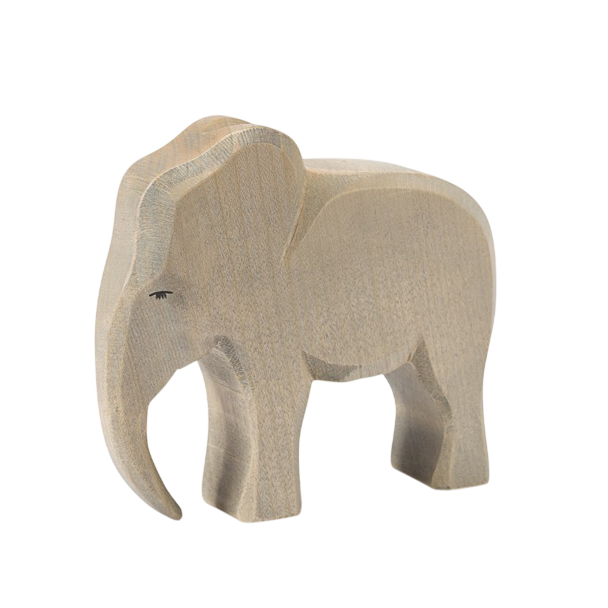 Ostheimer bull elephant wood