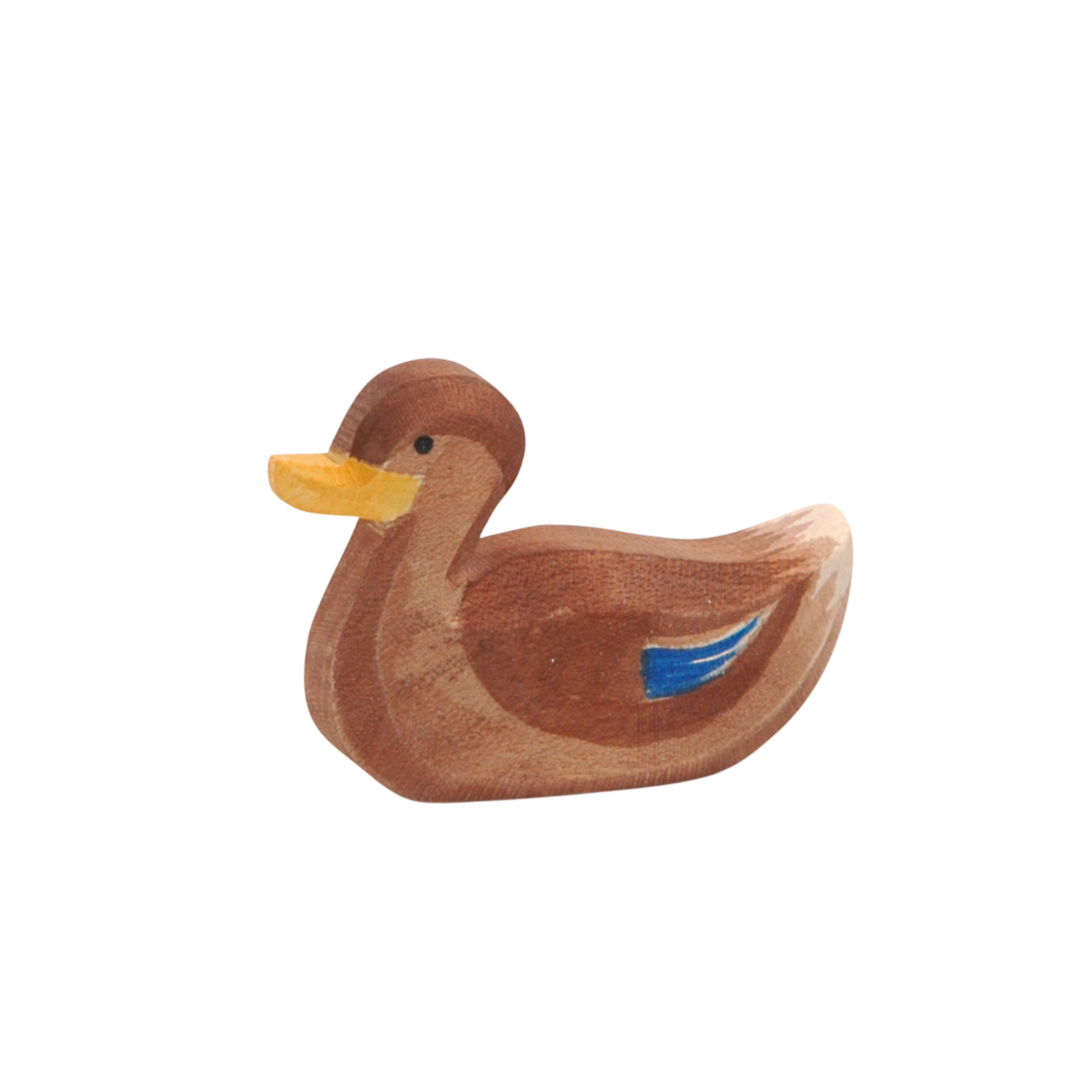 Ostheimer Canard nageur