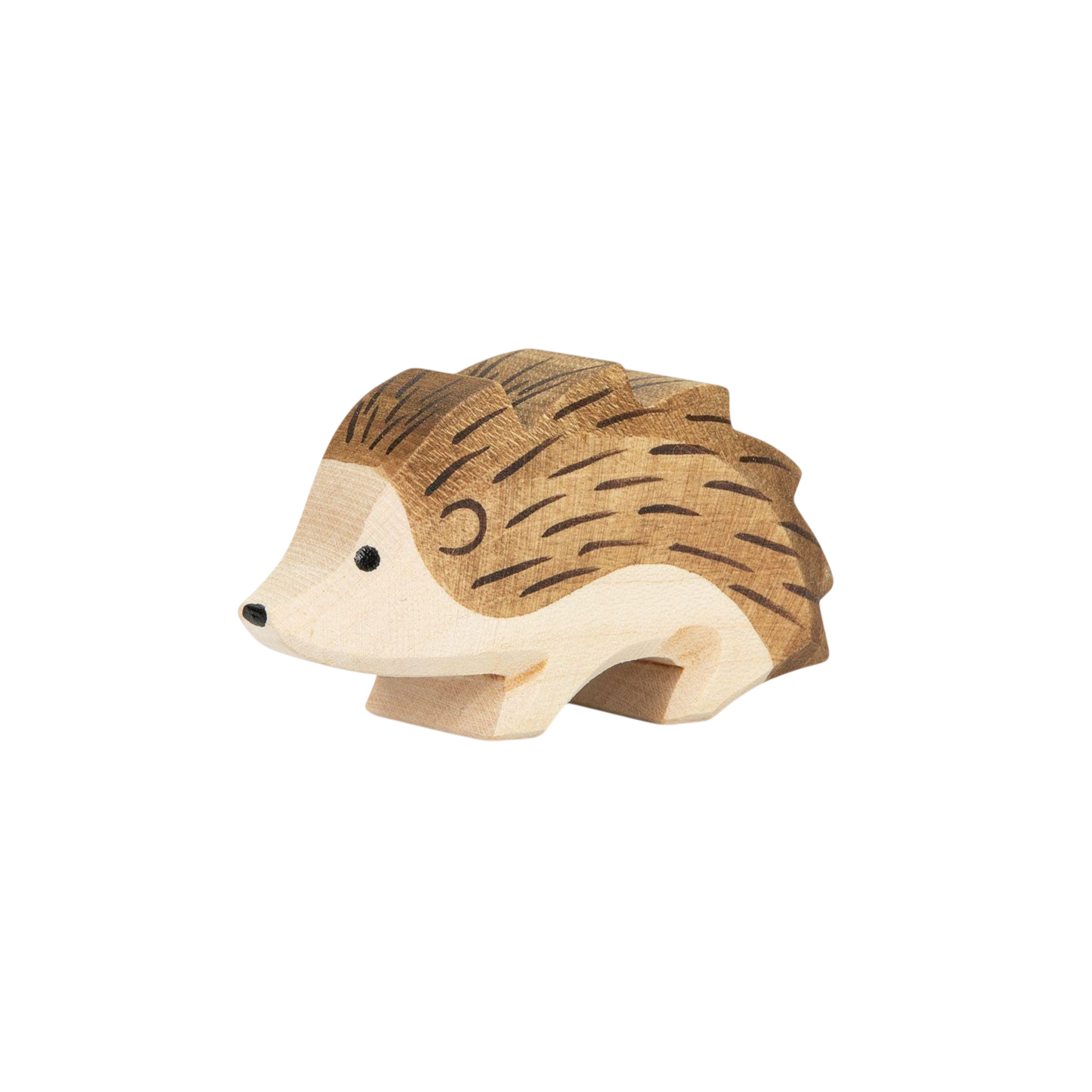 Ostheimer hedgehog