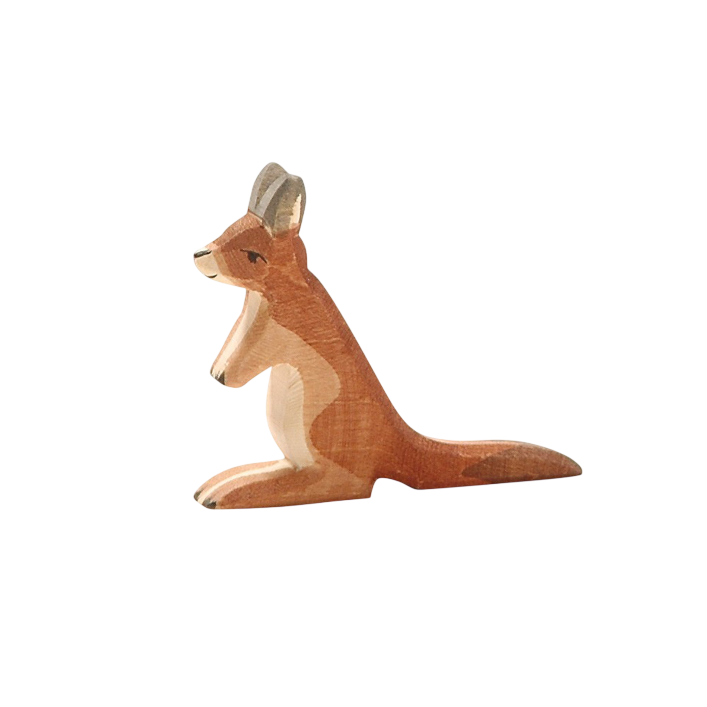 Ostheimer kangaroo small wood