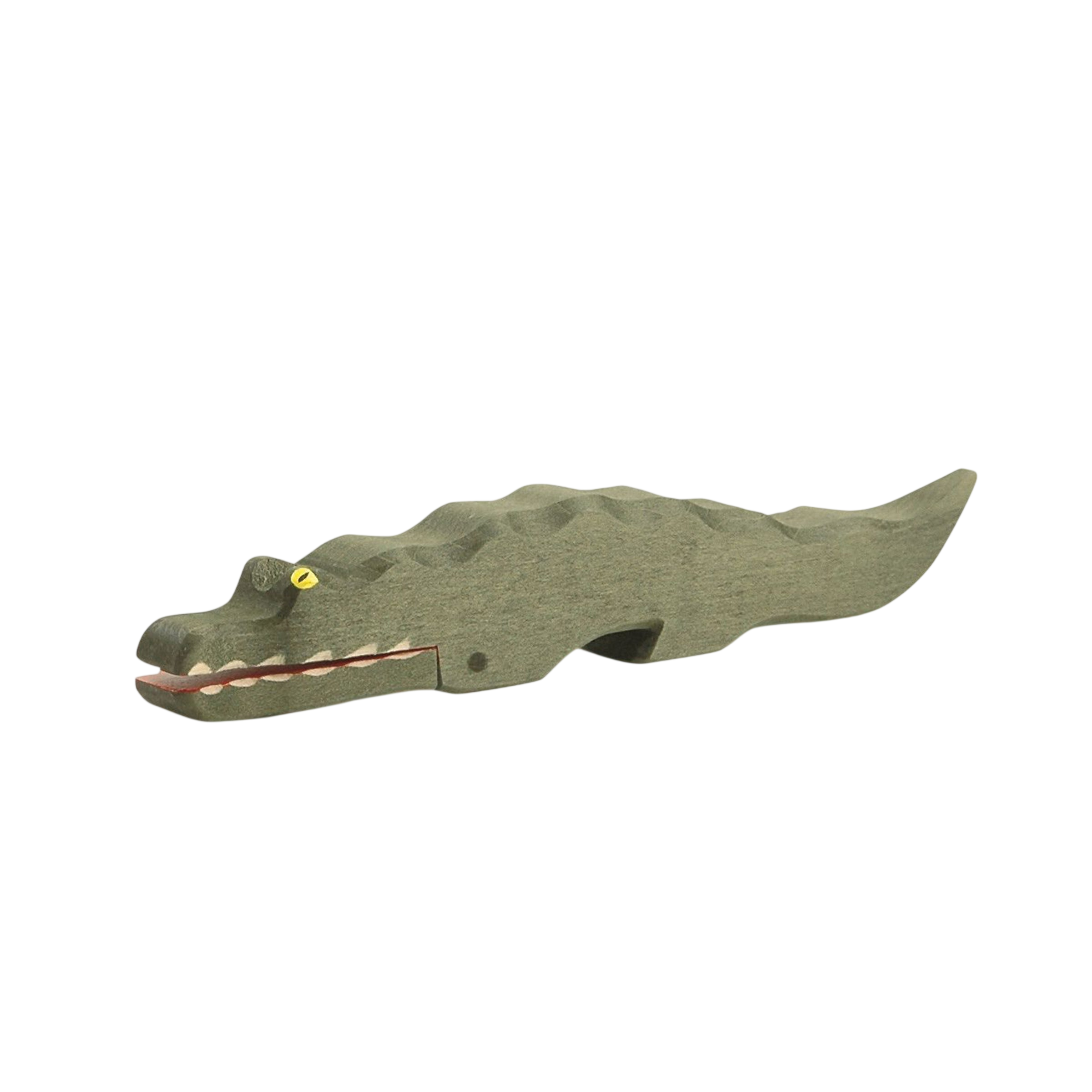 Ostheimer crocodile wood